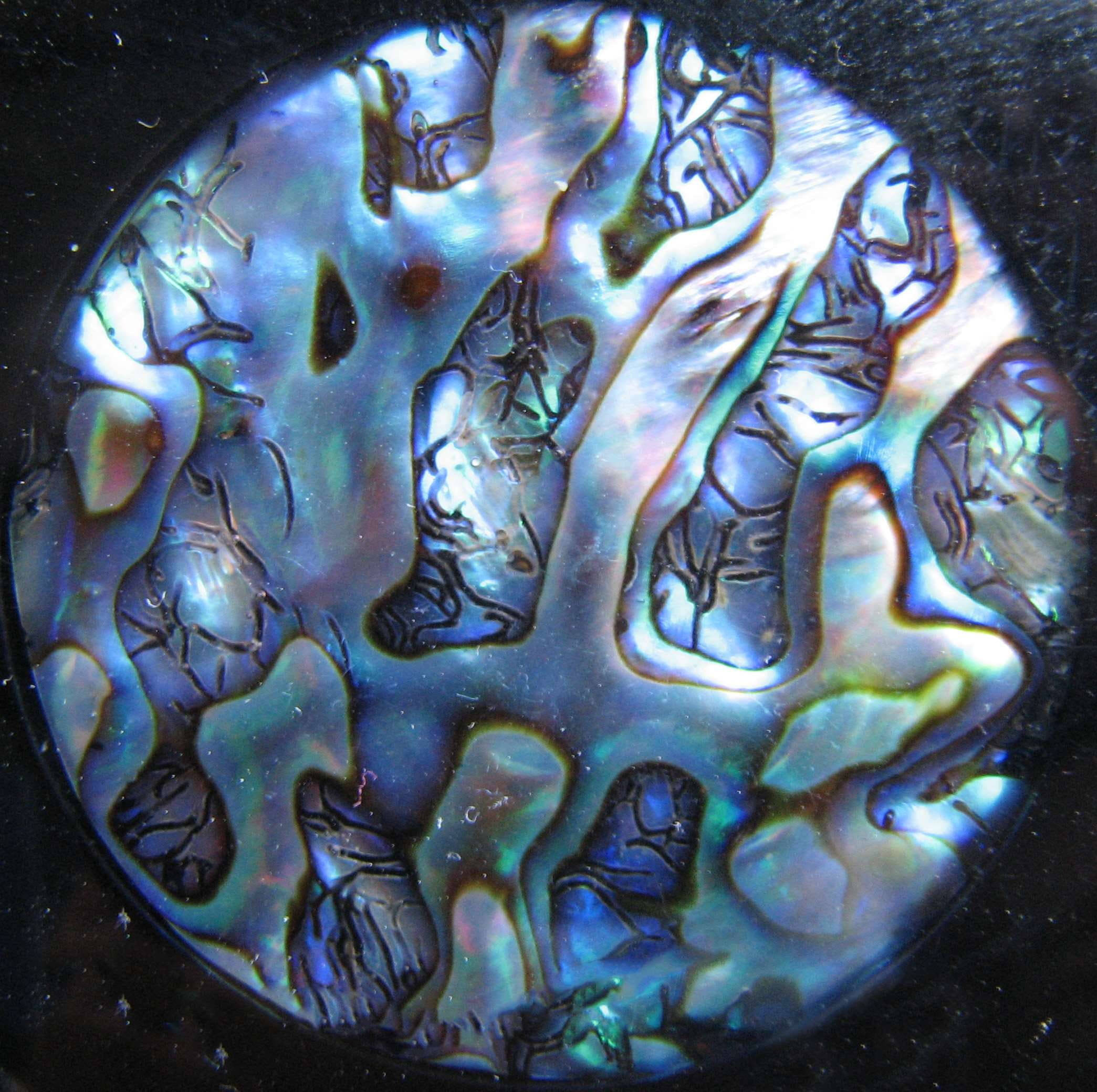 鮑魚殼數位藝術 壁紙 — 近距離拍攝的虹彩鮑魚殼，在深色背景上呈現旋轉的藍色、綠色和銀色圖案。