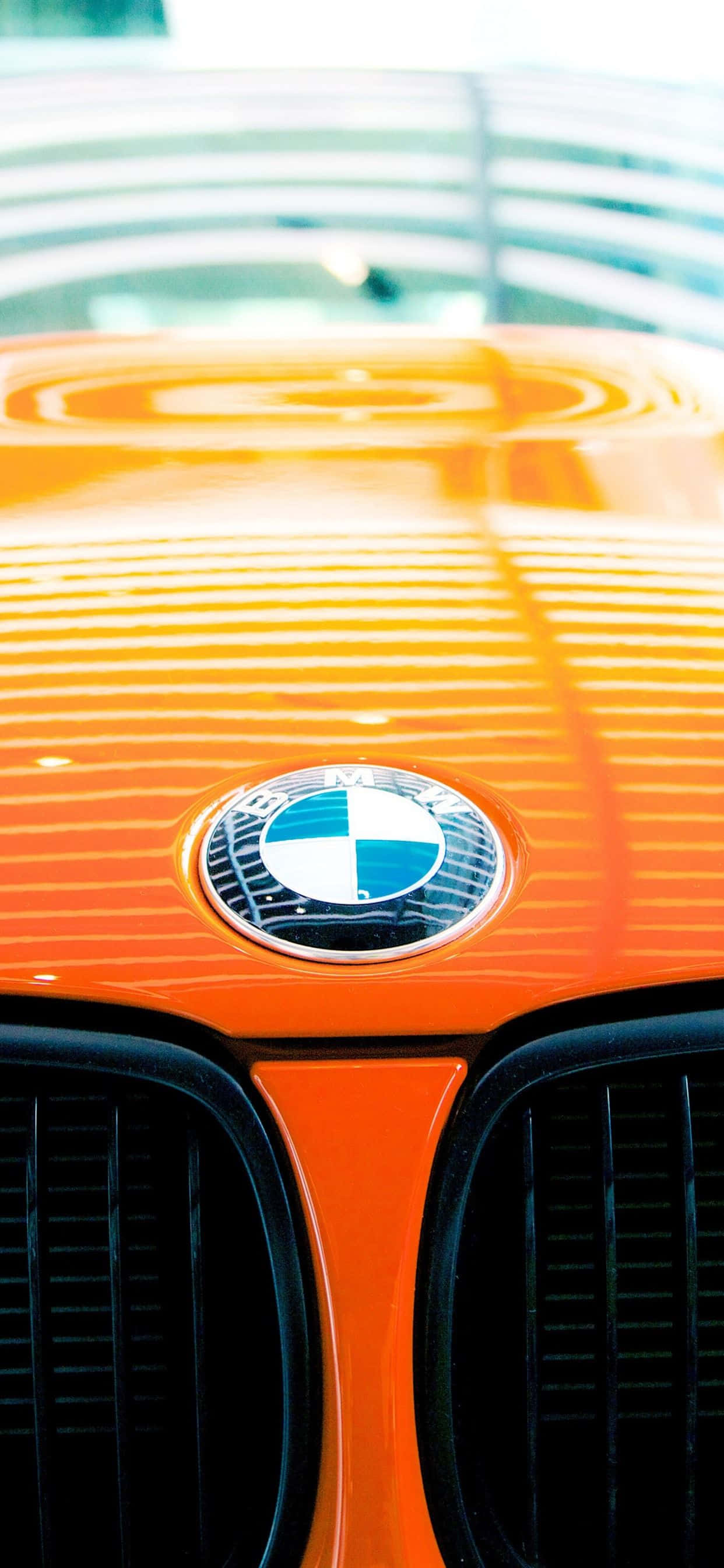 Bmw Logo 桌布 壁紙 — 鮮橙色寶馬汽車引擎蓋的特寫，帶有標誌性圓形標誌和黑色腎形格柵，在明亮光線下。