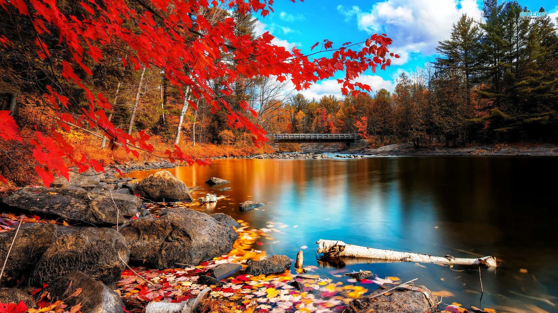 Fall Town 桌布 壁紙 — 鮮紅的楓葉框住了一條寧靜的秋日河流，遠處有一座木橋，在明亮的藍天下。