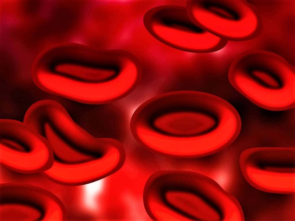 Red Blood Cells 桌布 壁紙 — 鮮紅的紅血球在顯微鏡視野下漂浮於發光的深紅色液體中。
