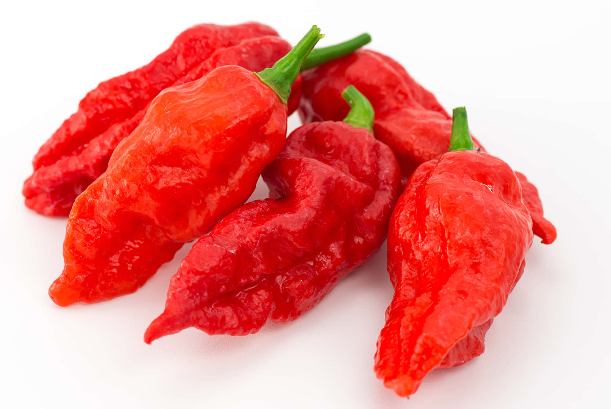 Ghost Pepper 桌布 壁紙 — 鮮紅色的哈瓦那辣椒，表皮皺縮，帶綠色莖，聚集在純白背景上。