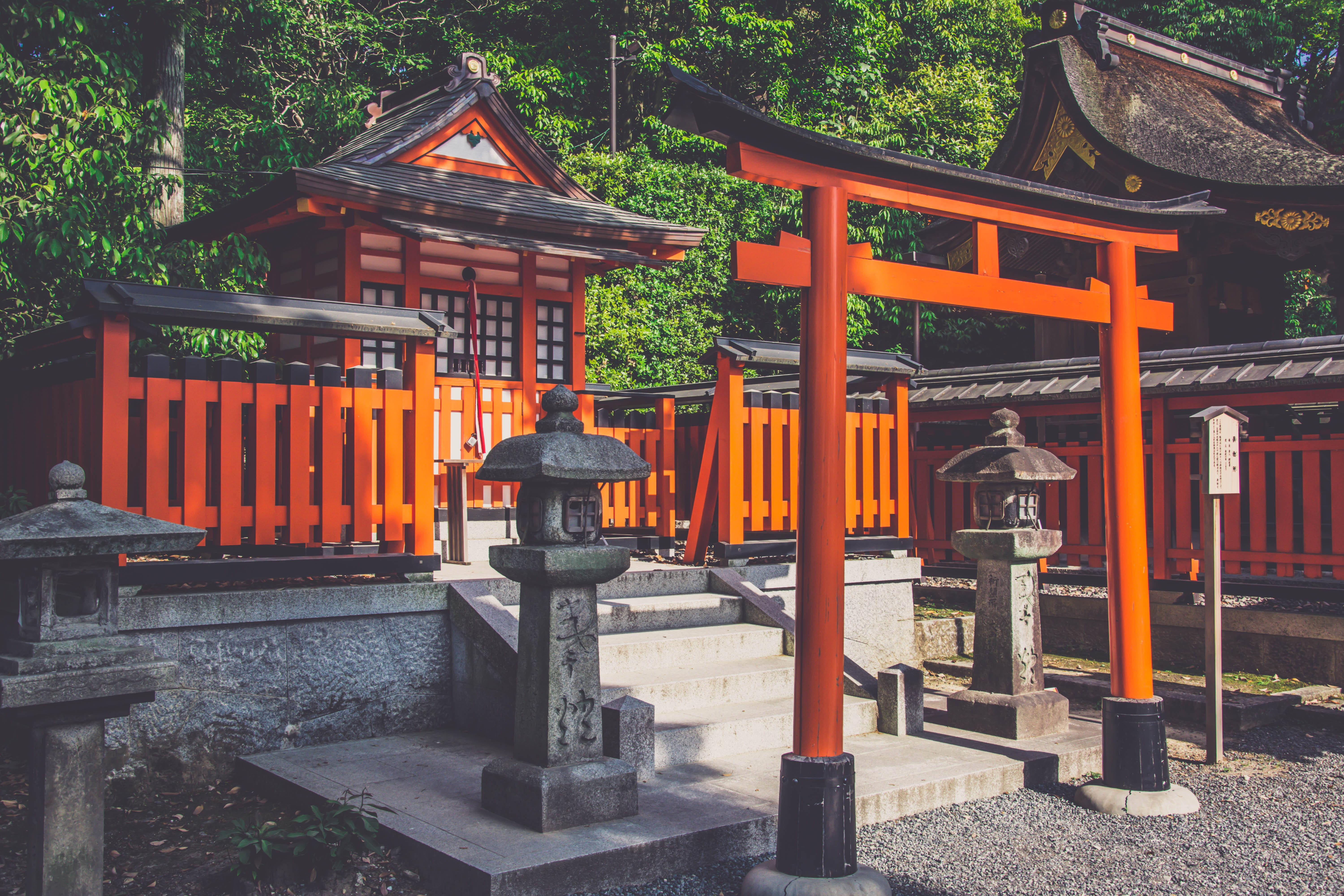 Japanese 桌布 壁紙 — 鮮紅色的鳥居和神社建築在明亮的日光下矗立在茂密的綠樹叢中。