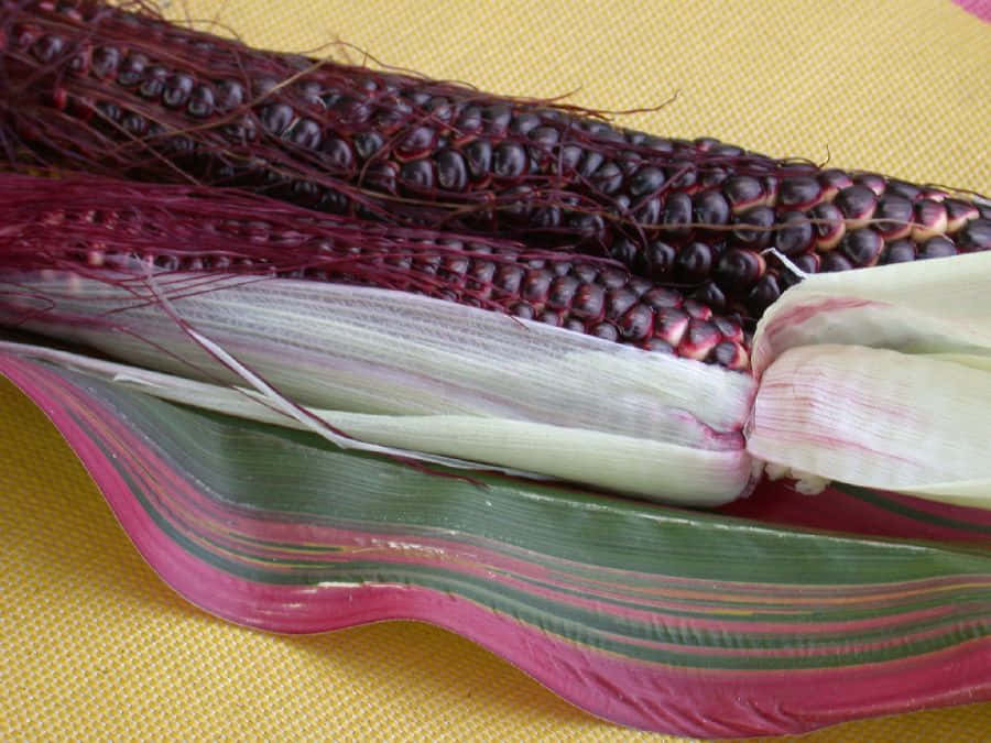 Purple Corn 桌布 壁紙 — 鮮紫色粟米嘅特寫，帶有條紋外殼，放喺黃色紋理表面上面。