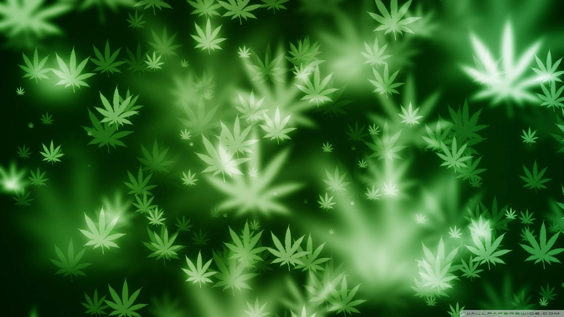 在柔和漸變背景上漂浮的發光綠色大麻葉。