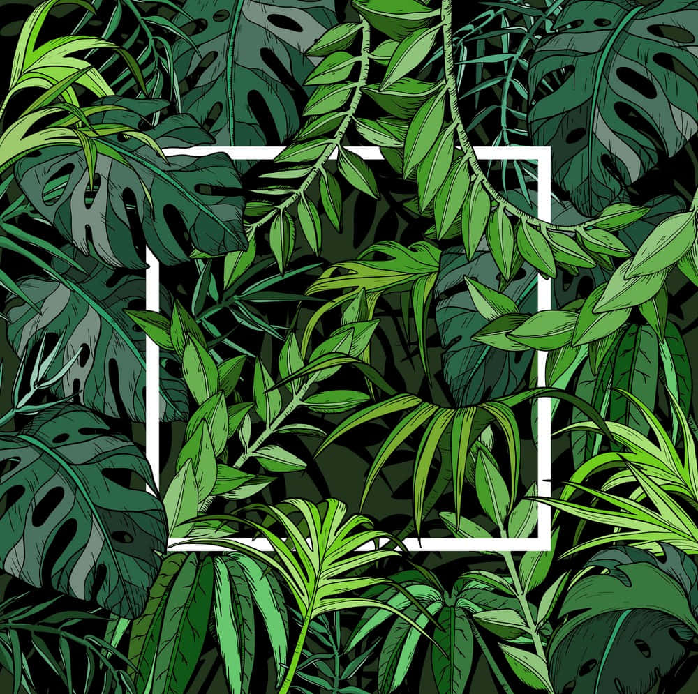 鮮綠椰葉映襯湛藍天空 壁紙 — 充滿活力的熱帶樹葉插圖，以不同深淺的綠色圍繞著一個白色正方形，背景為深色。
