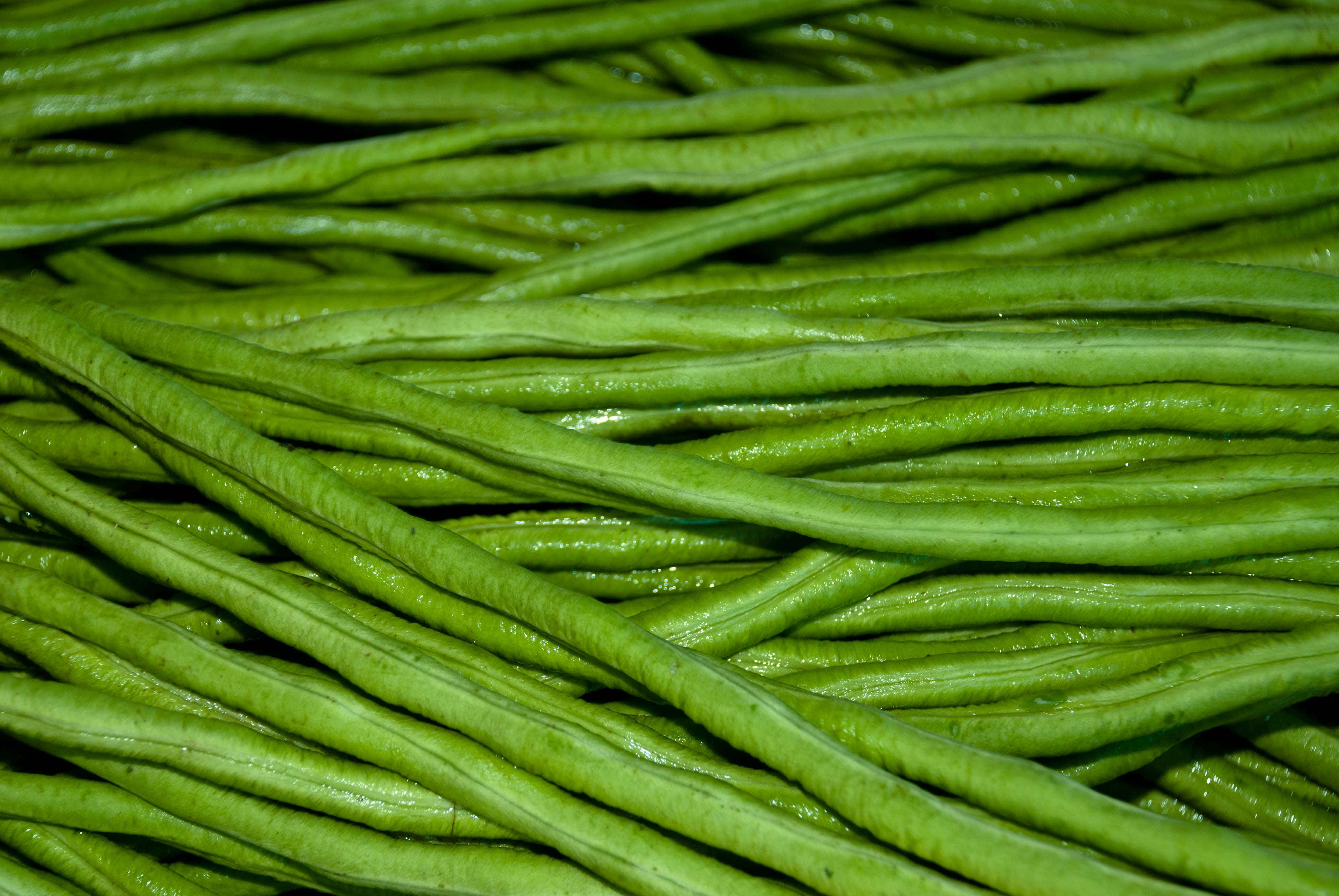 beans 桌布 壁紙 — 鮮綠色四季豆在密集重疊的堆中閃爍著水分的特寫。