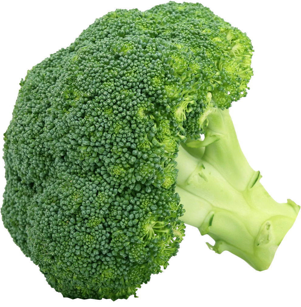鮮綠花椰菜單獨呈現於灰色背景 壁紙 — 一個充滿活力的綠色西蘭花小朵，紋理細緻，莖部蒼白，襯托在純黑背景上。