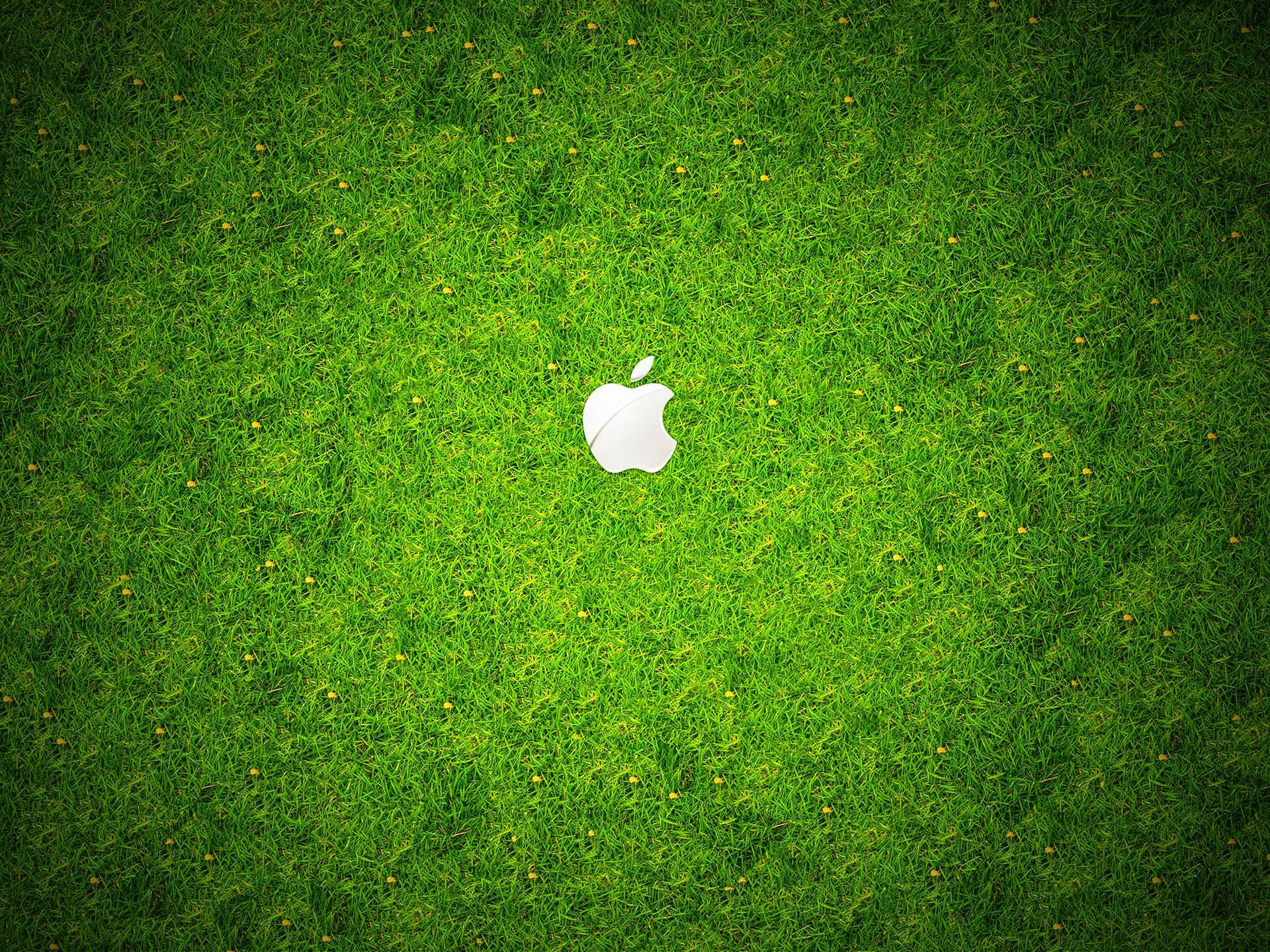 白色Apple標誌在鮮綠色草地上，伴隨著小黃花。