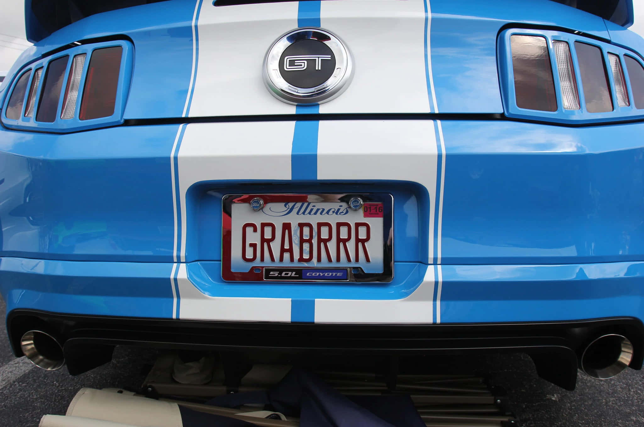 Car License Plate 桌布 壁紙 — 鮮藍色Mustang GT車尾特寫，帶有白色賽車條紋和自訂伊利諾伊州車牌，上面寫著GRABRRR。