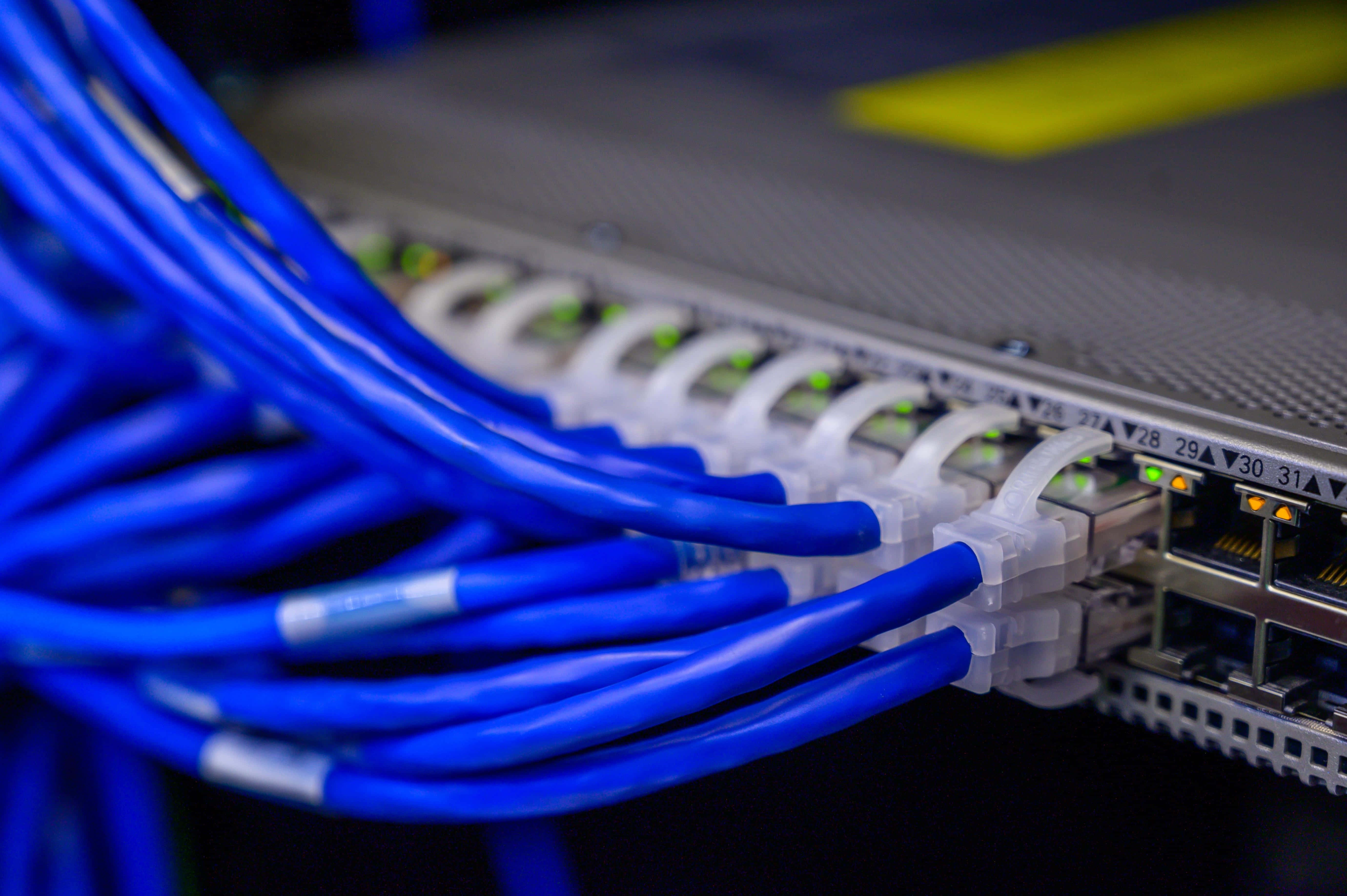 Ethernet 桌布 壁紙 — 鮮藍色以太網電纜插入帶有綠色指示燈的網絡交換機的特寫。