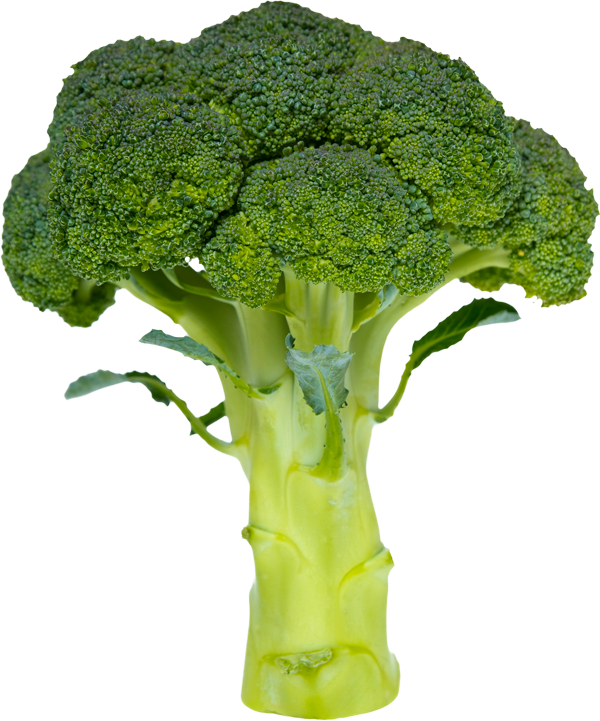 鮮西蘭花莖孤立 壁紙 — 一個新鮮西蘭花頭的鮮明特寫，帶有密集的綠色小花和淡綠色莖，背景為柔和的漸變色。
