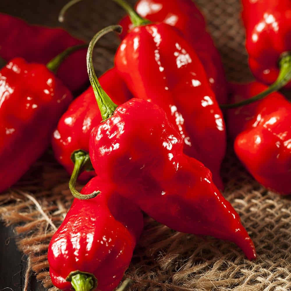 Ghost Pepper 桌布 壁紙 — 鮮豔光澤的紅辣椒配以綠色莖部，放置在粗糙的麻布上，特寫鏡頭。
