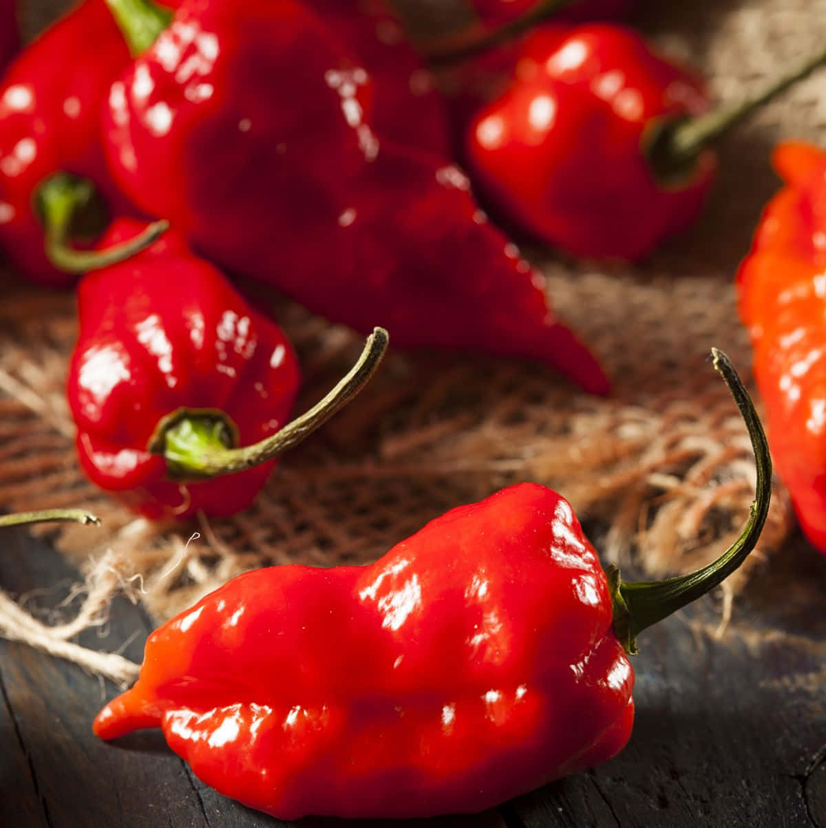 Ghost Pepper 桌布 壁紙 — 鮮豔光澤的紅辣椒配綠色莖，放在質樸的麻布和深色木頭上。