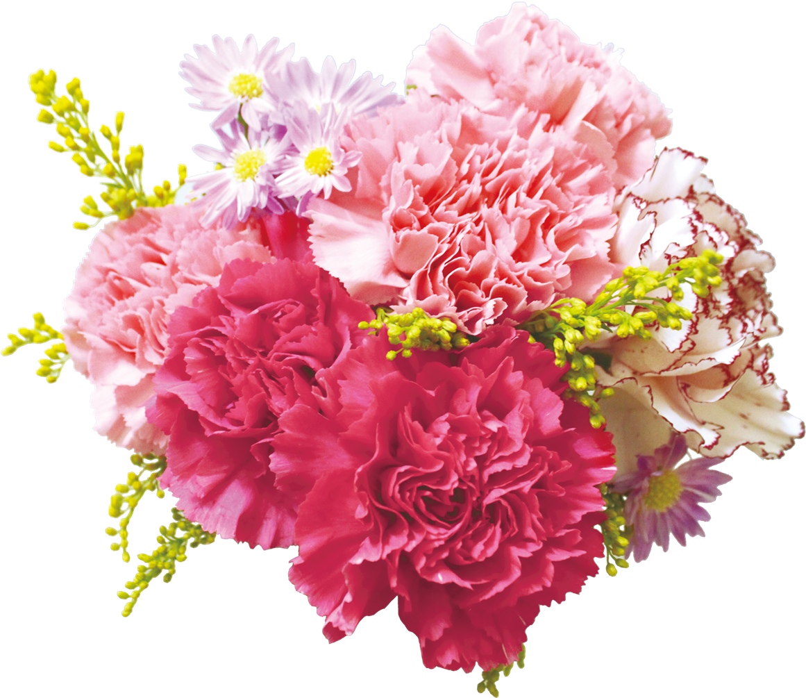 鮮豔康乃馨花束 壁紙 — 一束充滿活力的粉紅色和洋紅色康乃馨，搭配白色雛菊和黃色填充花，襯托在純黑色背景上。