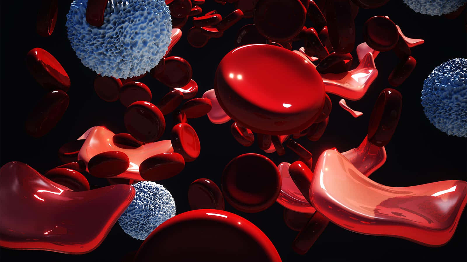 Red Blood Cells 桌布 壁紙 — 鮮豔的3D渲染紅血球和藍色白血球在深色背景上動態漂浮。