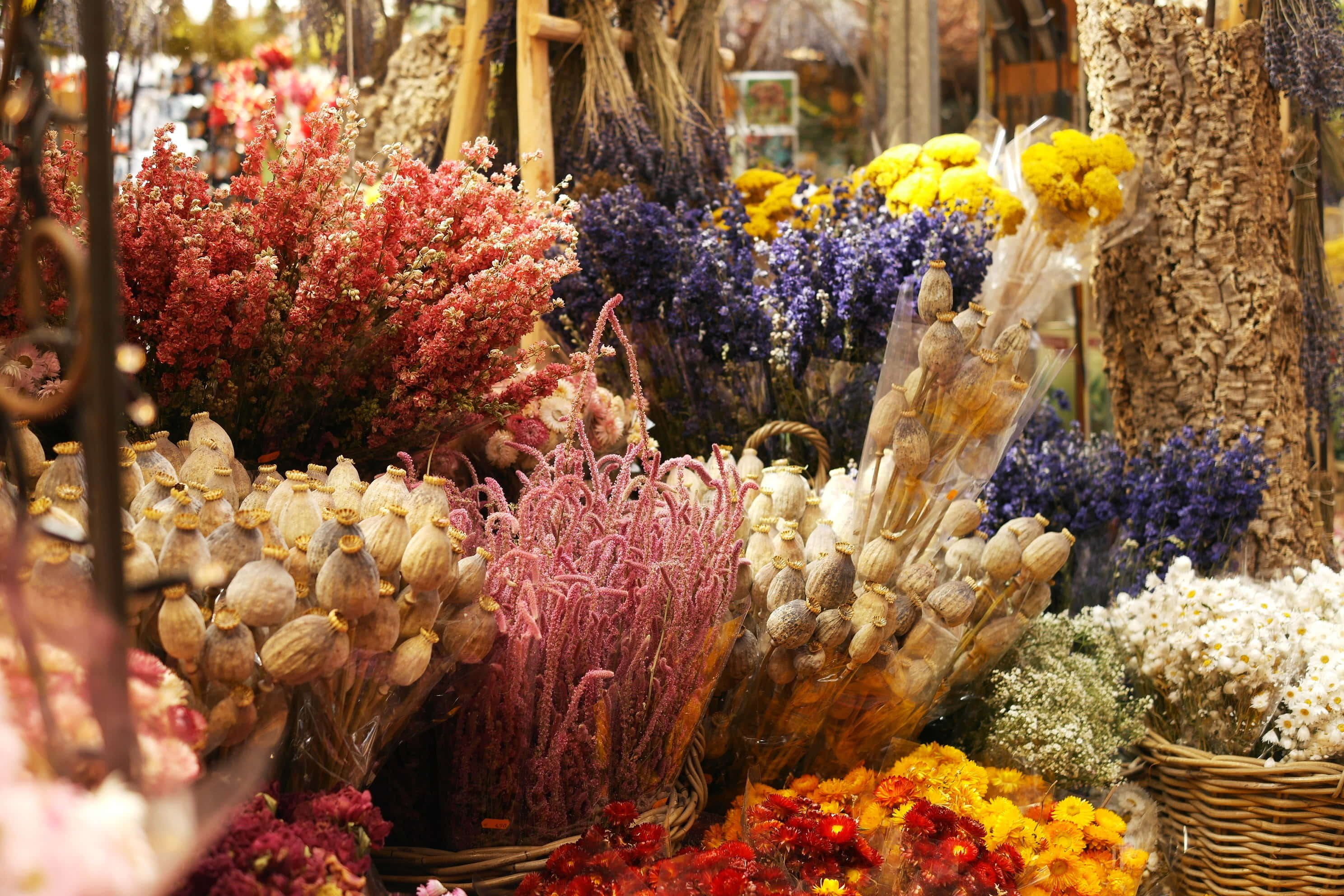 Dried Flowers 桌布 壁紙 — 鮮豔的乾花花束，有紅色、紫色、黃色和白色，擺放在熱鬧市場攤位的籃子裡。