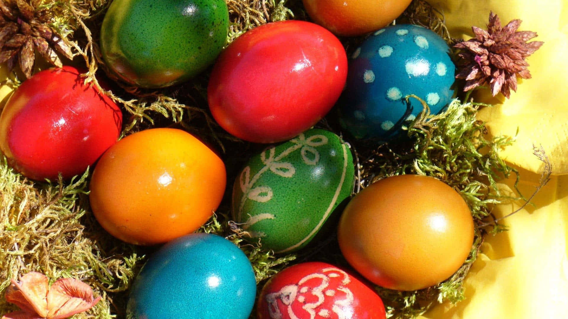 Eggs 桌布 壁紙 — 鮮豔的手繪復活節彩蛋，藏在苔蘚中，搭配乾花，沐浴在溫暖的陽光下。