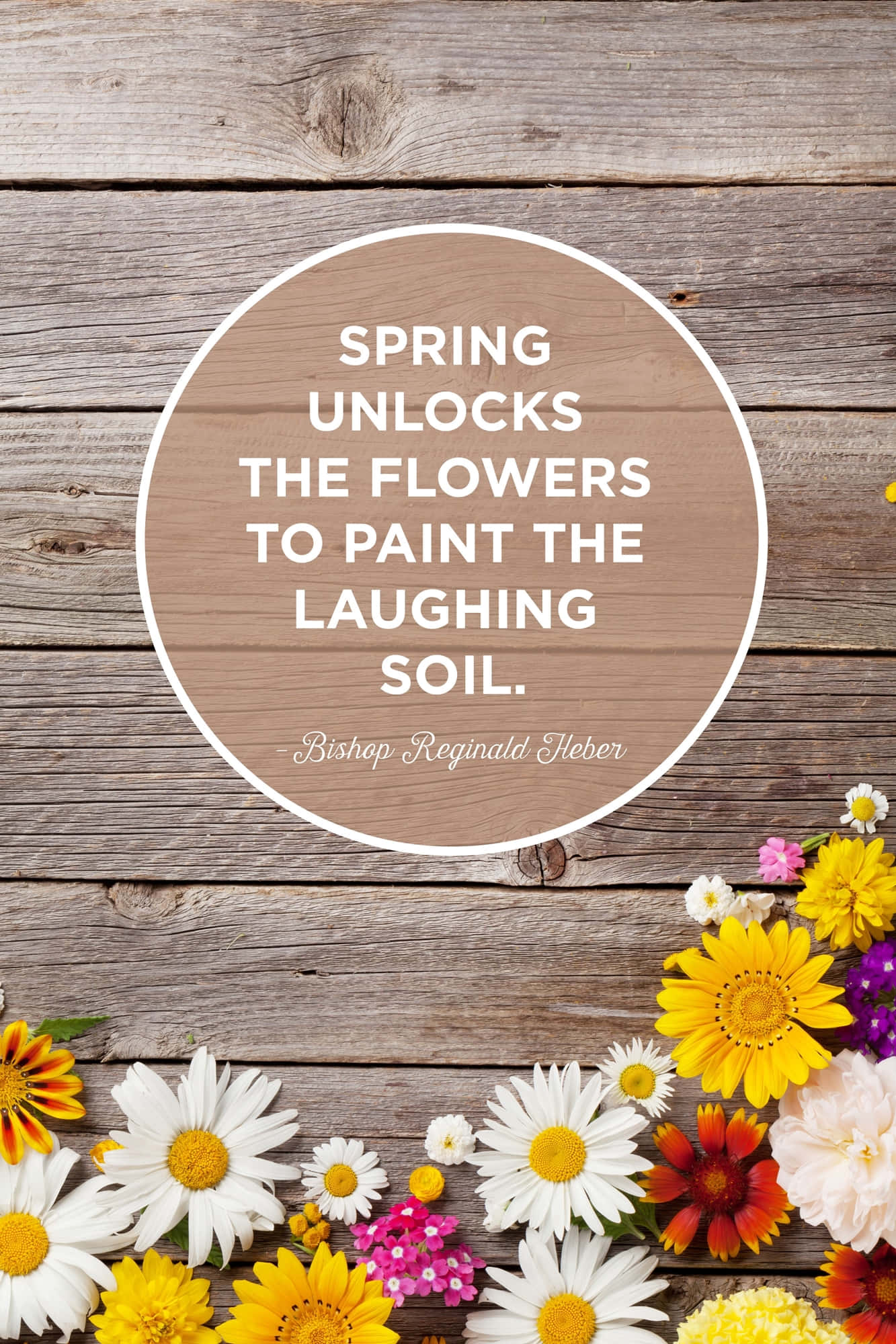 Spring Quotes 桌布 壁紙 — 鮮豔的春天花朵以黃色、粉紅色和白色散落在風化的木板上，下方有一個圓形語錄。
