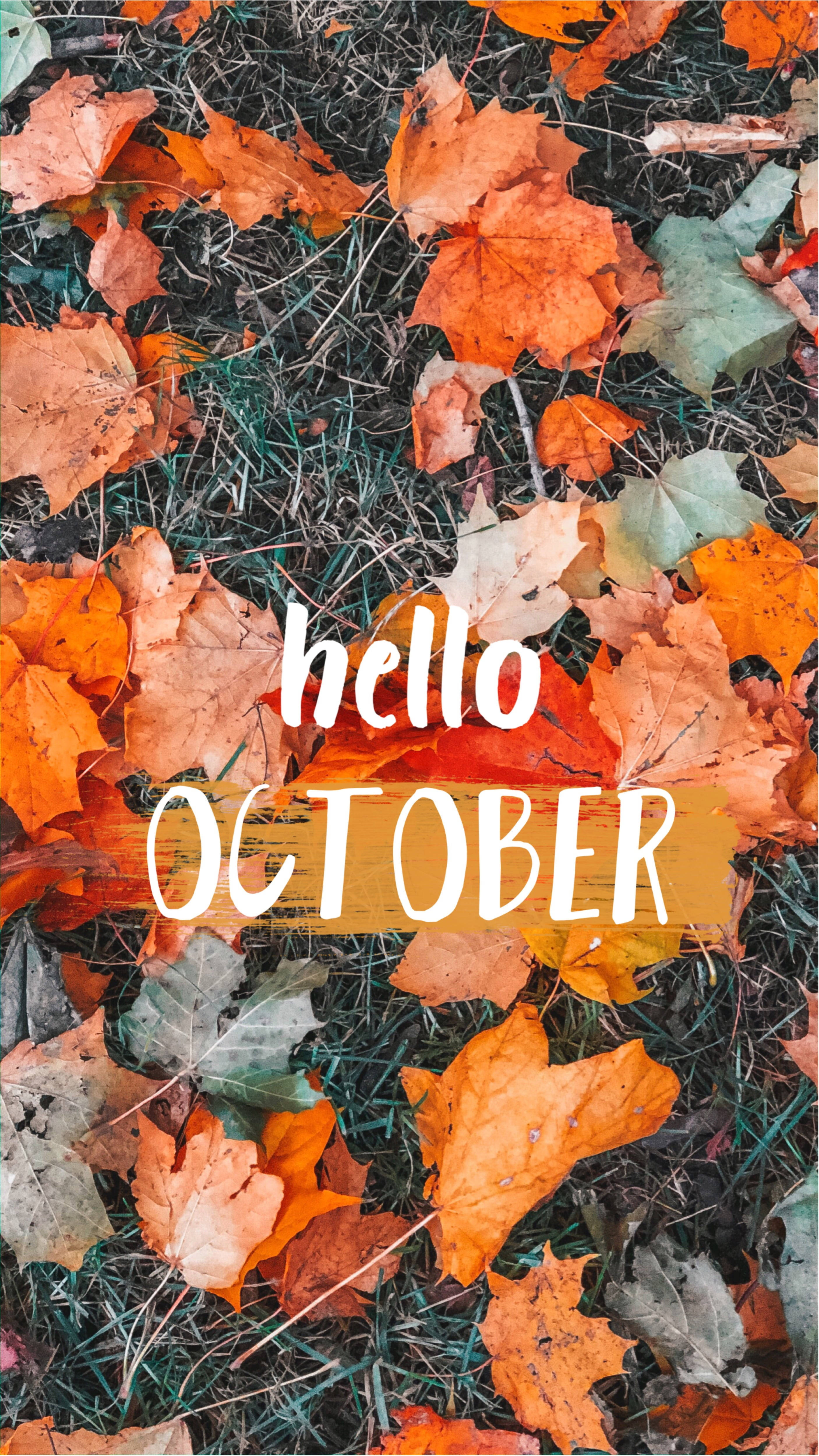 Hello 桌布 壁紙 — 鮮豔的橙色和綠色楓葉散落在草地上，帶有 'hello OCTOBER' 文字疊加。