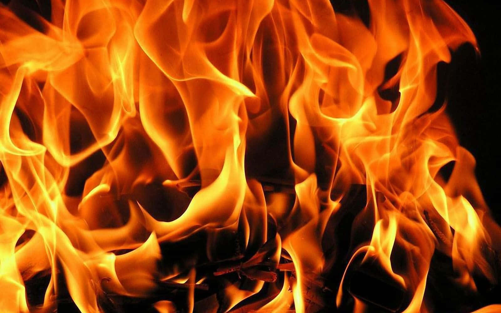 Flame 桌布 壁紙 — 鮮豔的橙色和黃色火焰在漆黑的背景上動態舞動，伴隨著發光的餘燼。