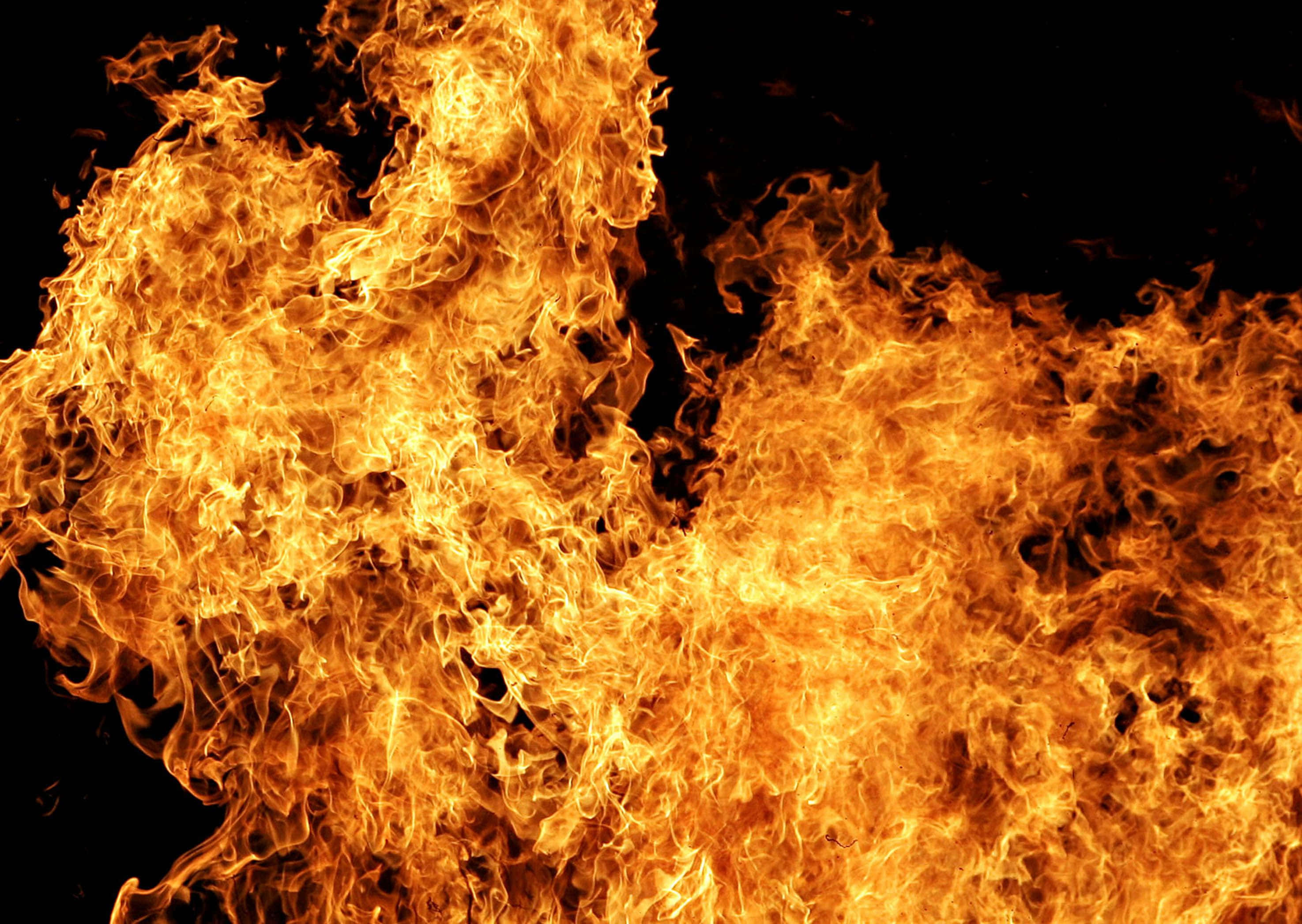 Flames 桌布 壁紙 — 鮮豔的橙色和黃色火焰在漆黑的背景上咆哮，散發出強烈的熱量和動感。
