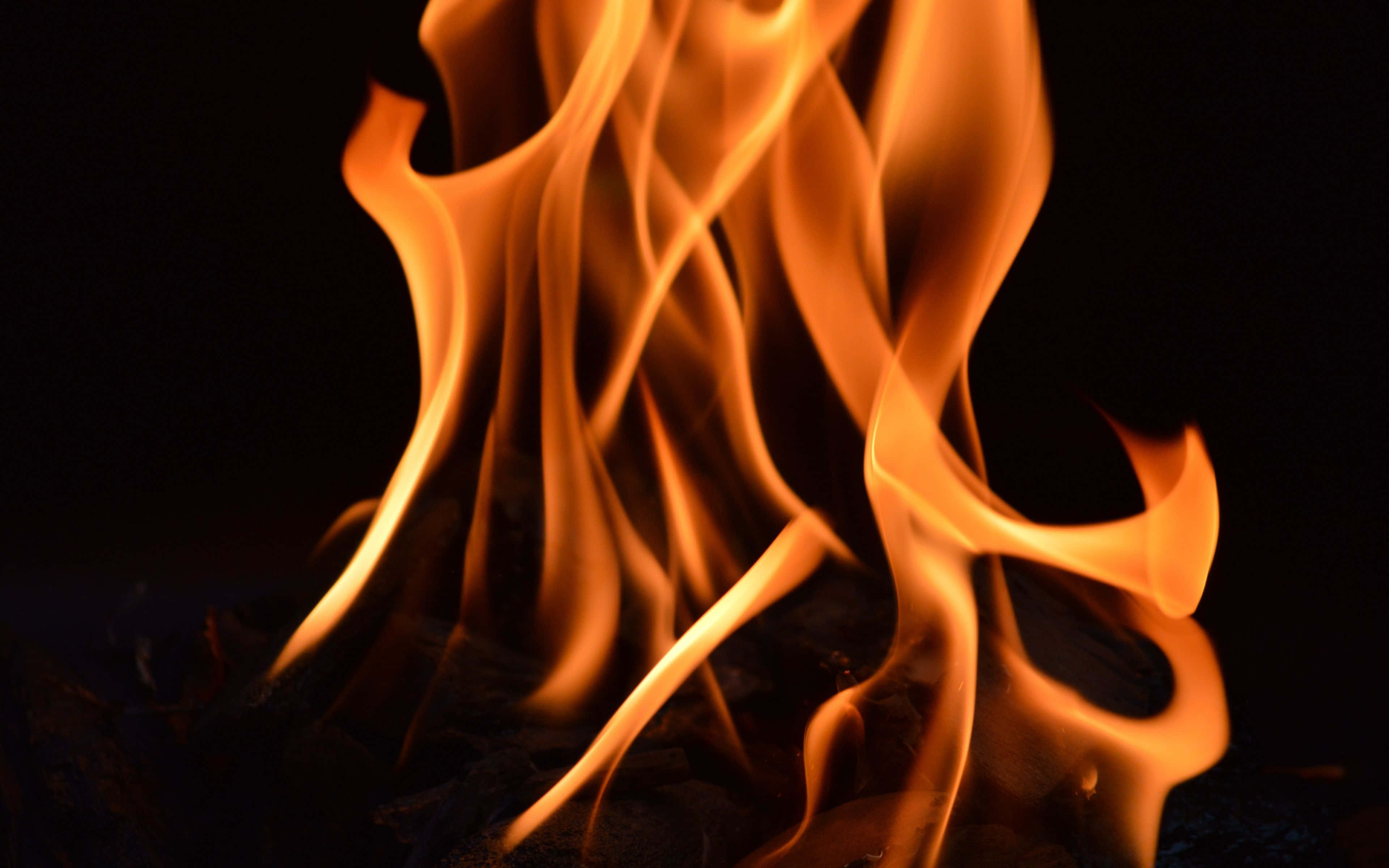 Flames 桌布 壁紙 — 鮮豔的橙色和黃色火焰在漆黑的背景上動態舞動，下方有發光的餘燼。