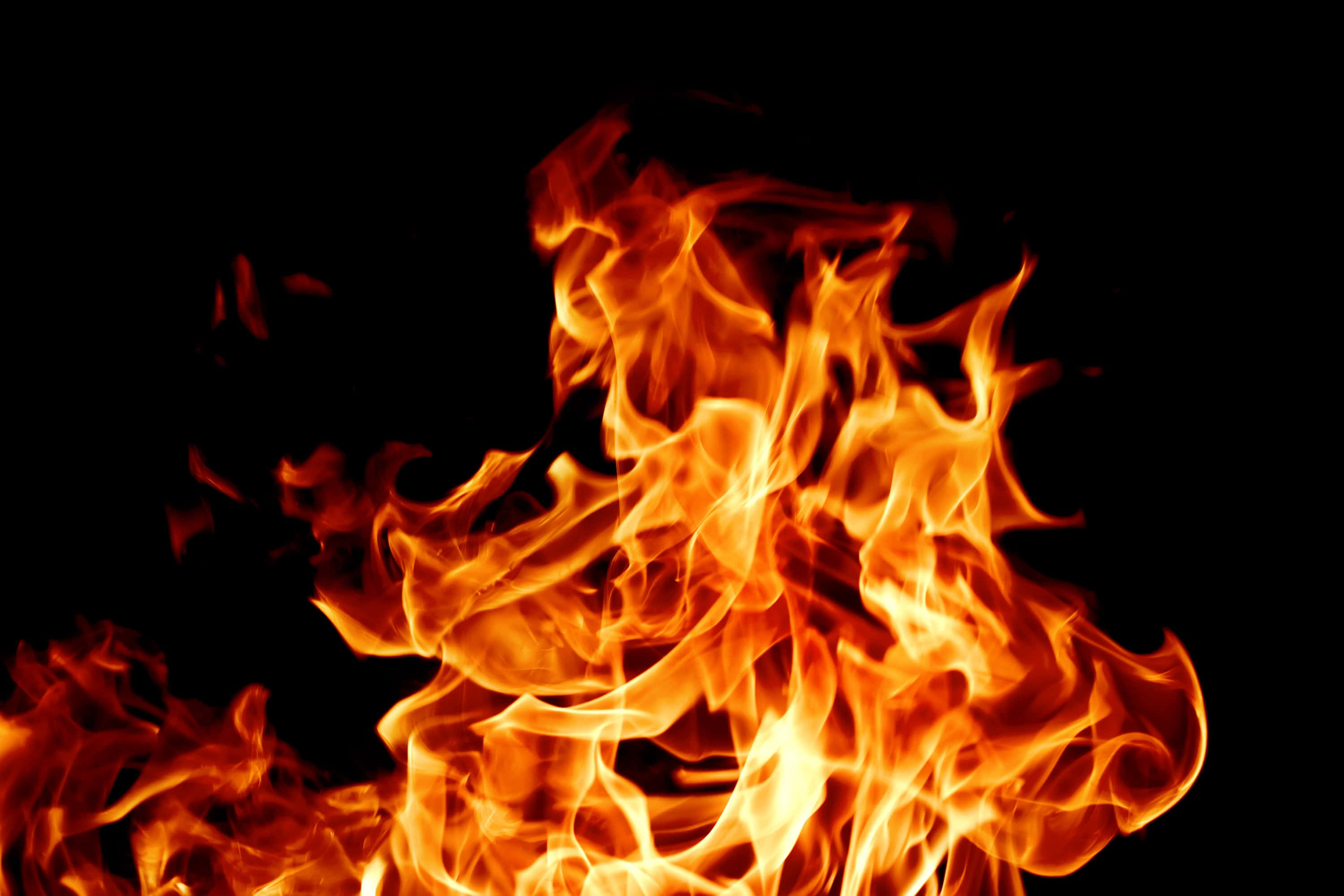 Flames 桌布 壁紙 — 鮮豔的橙色和黃色火焰在純黑色背景上動態舞動。
