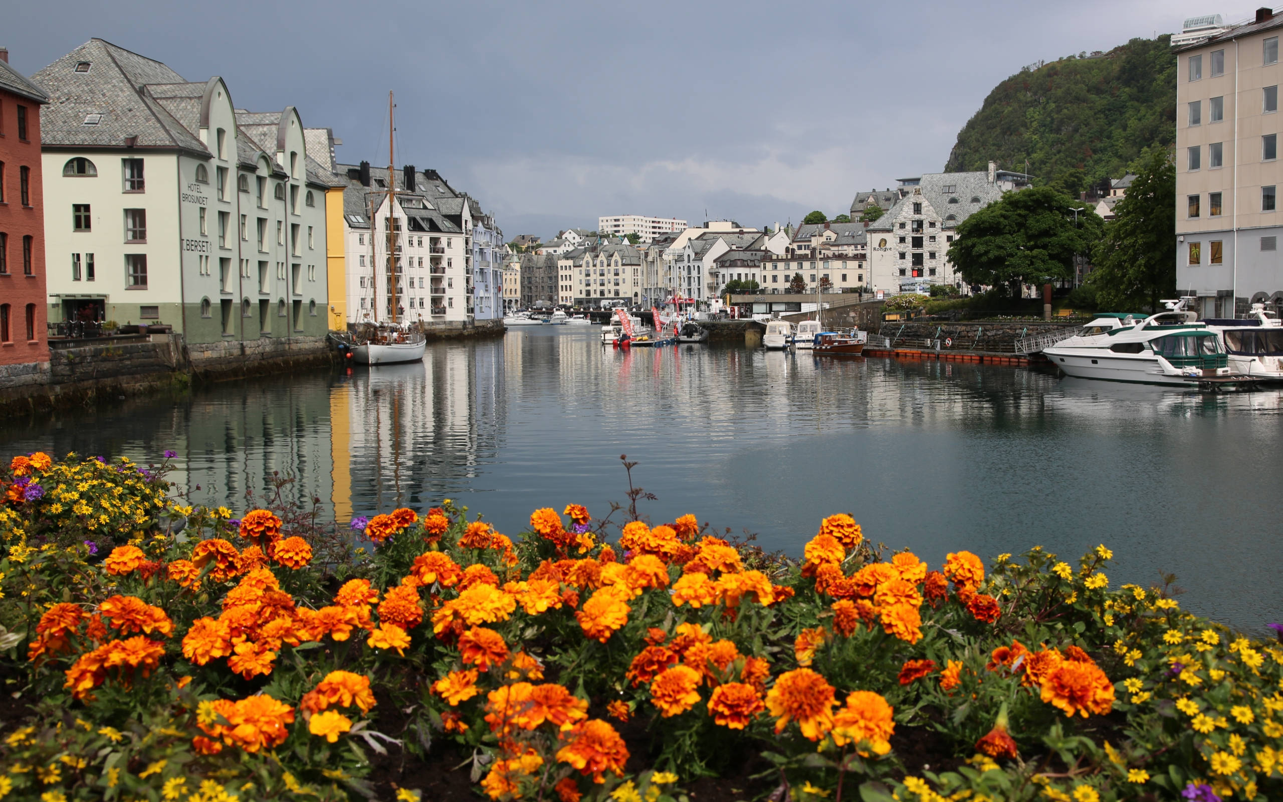 Norway 桌布 壁紙 — 鮮豔的橙色和黃色花朵在前景盛開，船隻停泊在平靜的港灣，兩旁是色彩繽紛的歷史建築，天空多雲。