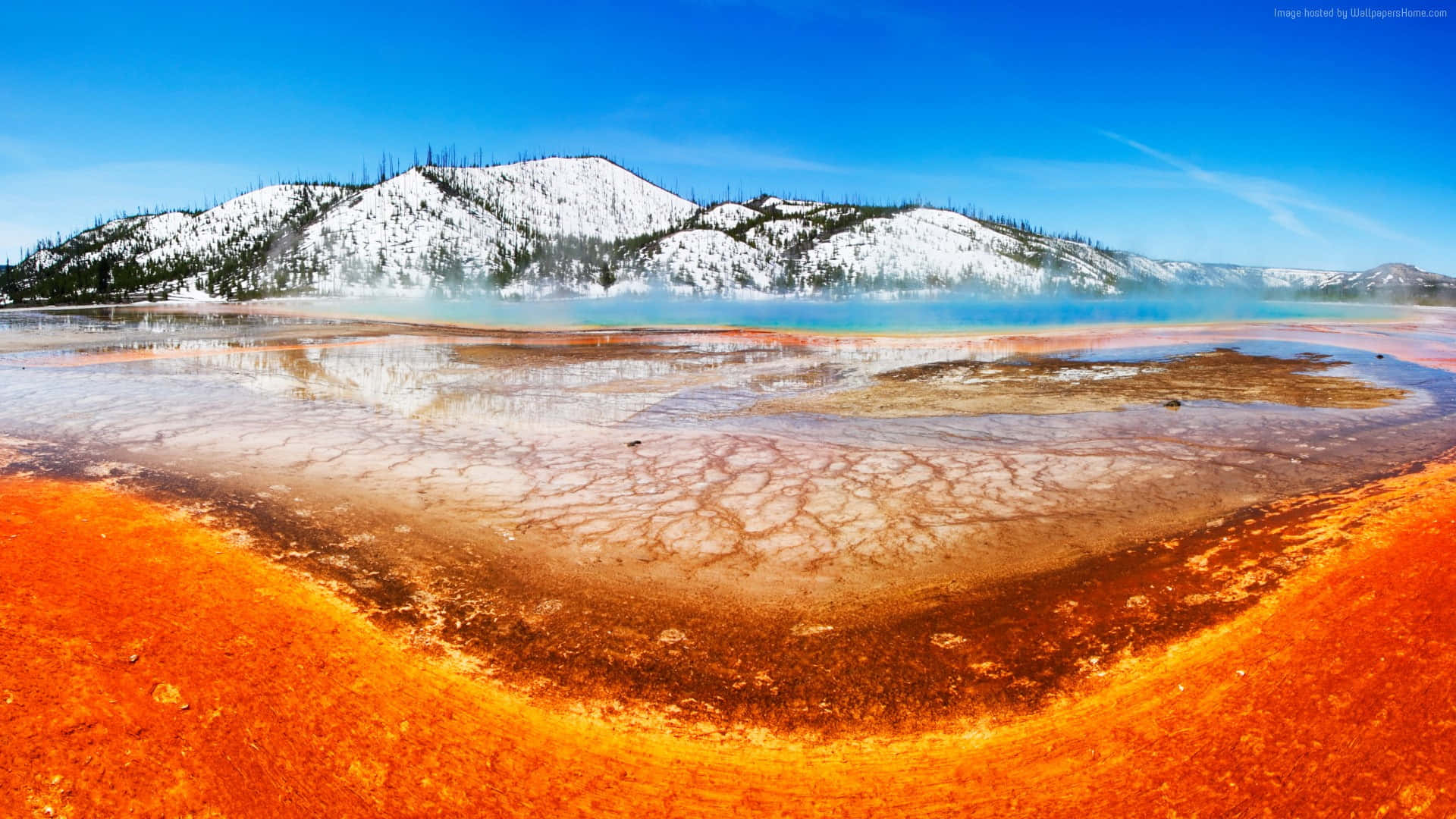 Yellowstone Geysers 桌布 壁紙 — 鮮豔的橙色微生物墊圍繞著一個冒著蒸汽的溫泉，積雪覆蓋的山脈倒映在碧綠色的水中，天空清澈湛藍。