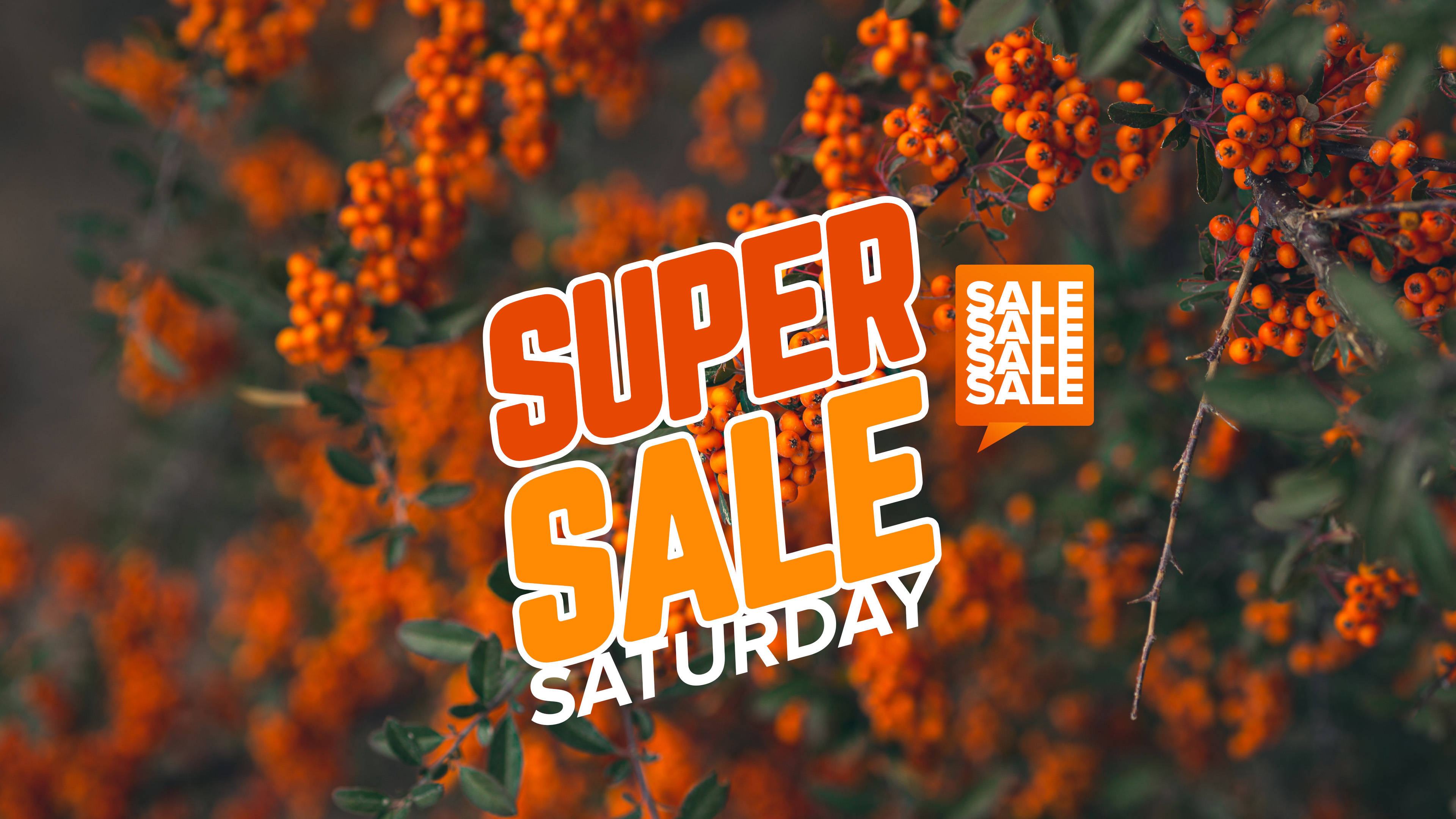 saturday 桌布 壁紙 — 鮮豔的橙色漿果簇擁在樹枝上，後面是粗體的橙色和白色「SUPER SALE SATURDAY」文字。