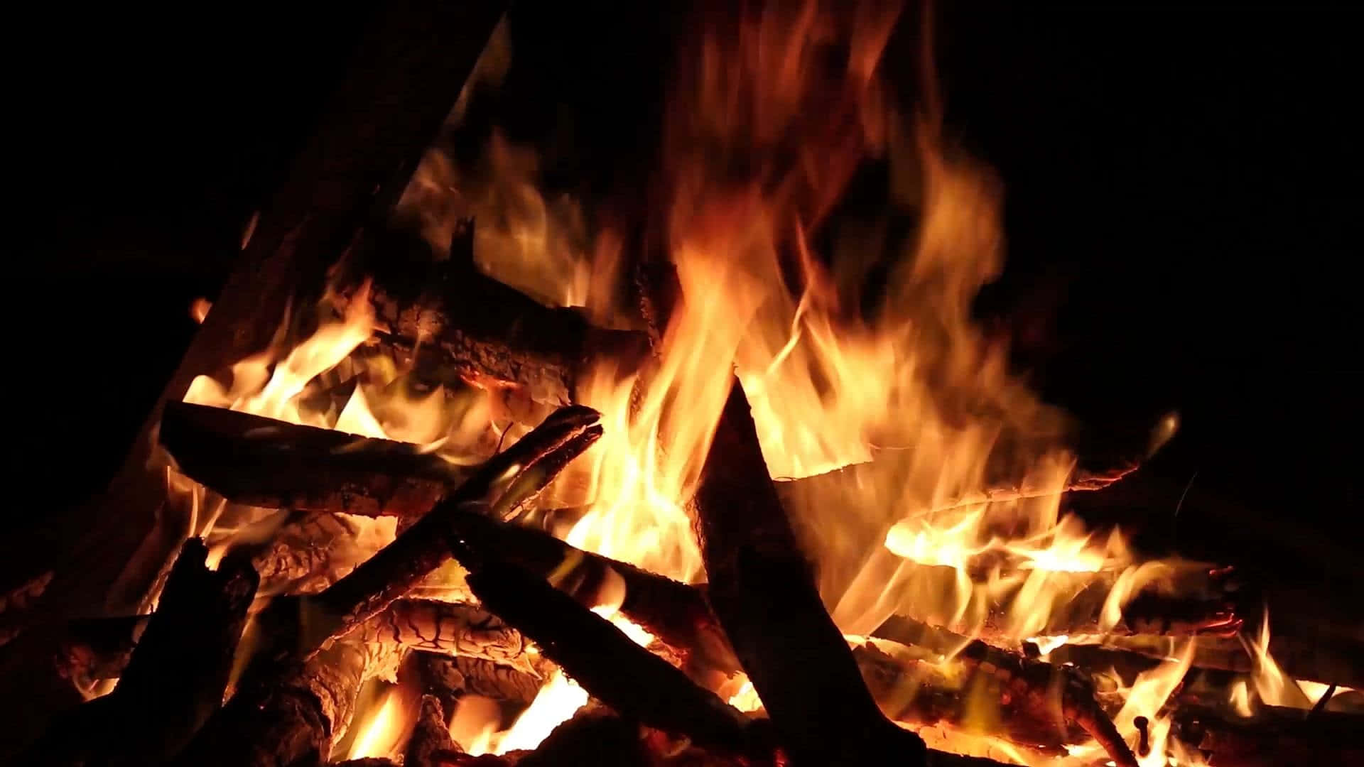 Fall Bonfire 桌布 壁紙 — 鮮豔的橙色火焰在漆黑的夜晚場景中，圍繞著燒焦的木柴跳躍舞動。