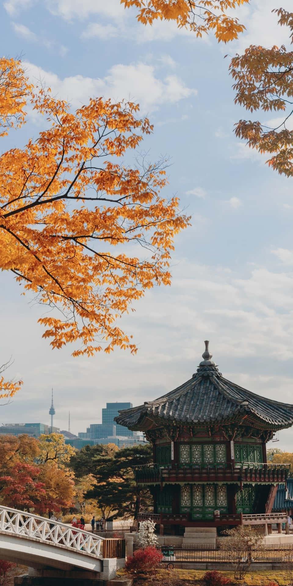 South Korea 桌布 壁紙 — 鮮豔的橙色秋葉框住傳統韓國亭閣，背景是現代城市天際線，在柔和藍天下。