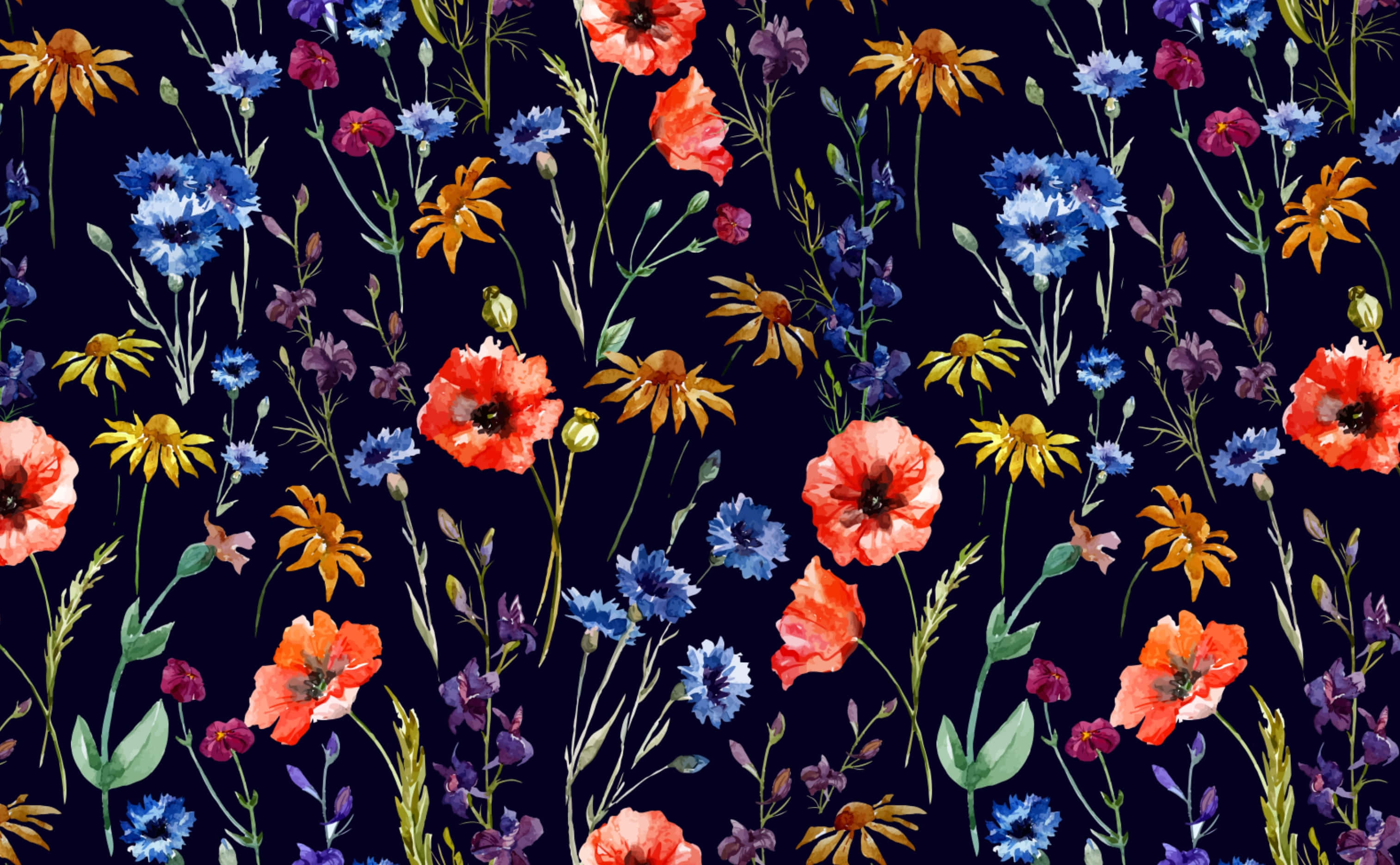 Wildflower 桌布 壁紙 — 鮮豔的水彩花朵以紅色、藍色和橙色在深海軍藍背景上重複圖案綻放。