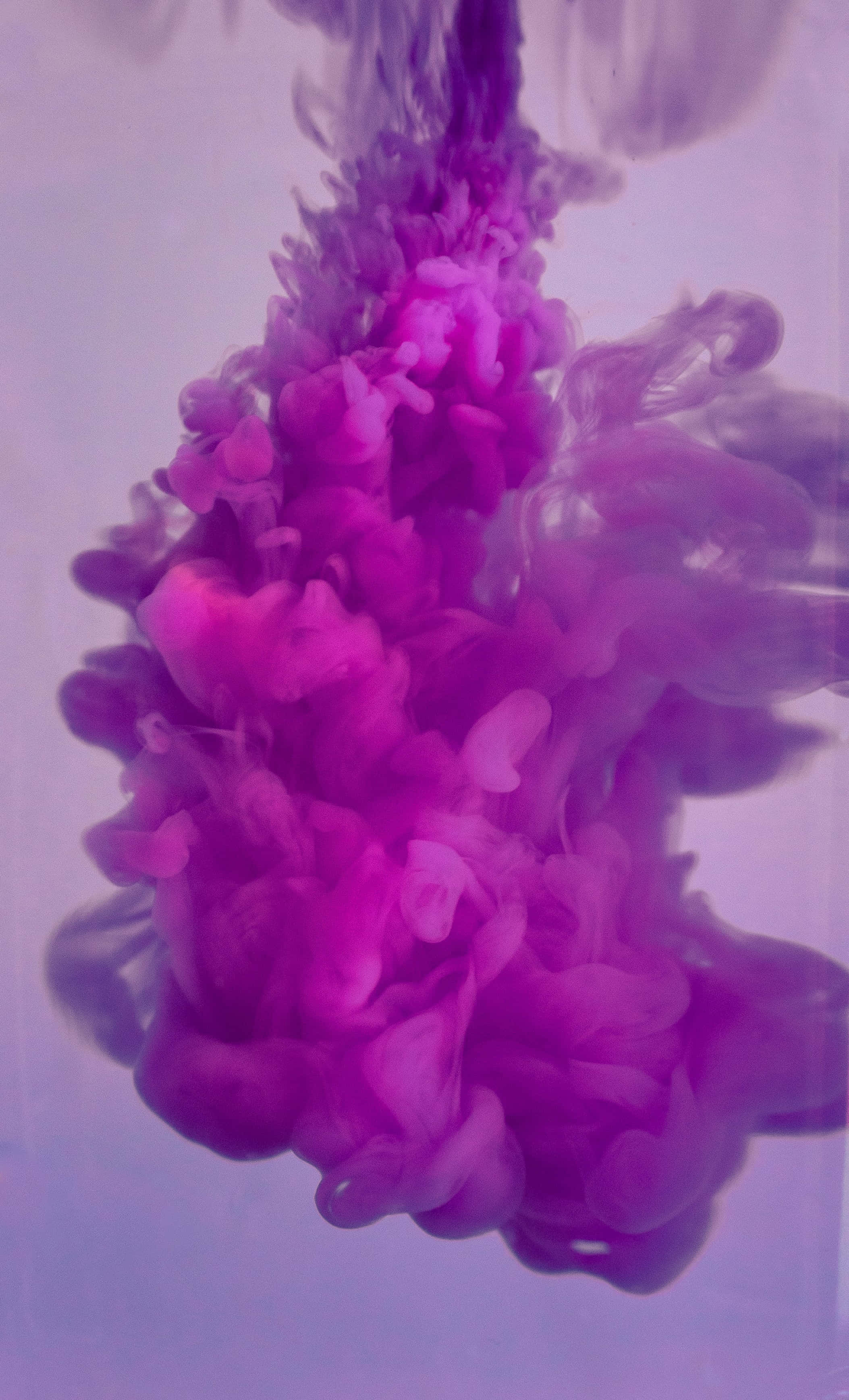 Purple Haze 桌布 壁紙 — 鮮豔的洋紅色墨水在水下優雅地旋轉，映襯著柔和的薰衣草色背景，營造出空靈的抽象動感。