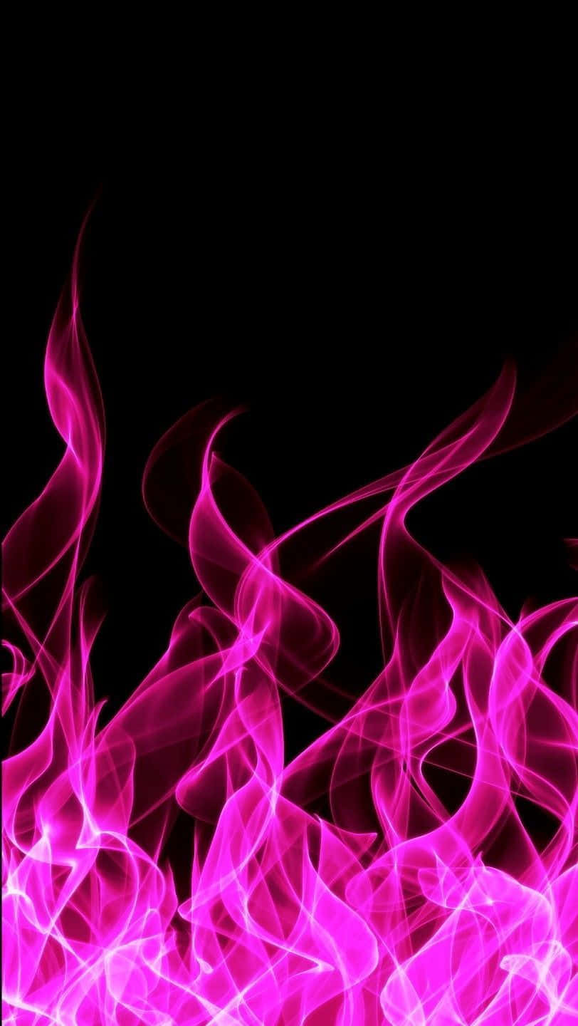 Flames 桌布 壁紙 — 鮮豔的洋紅色火焰在純黑背景上動感舞動，營造出大膽且充滿活力的視覺效果。