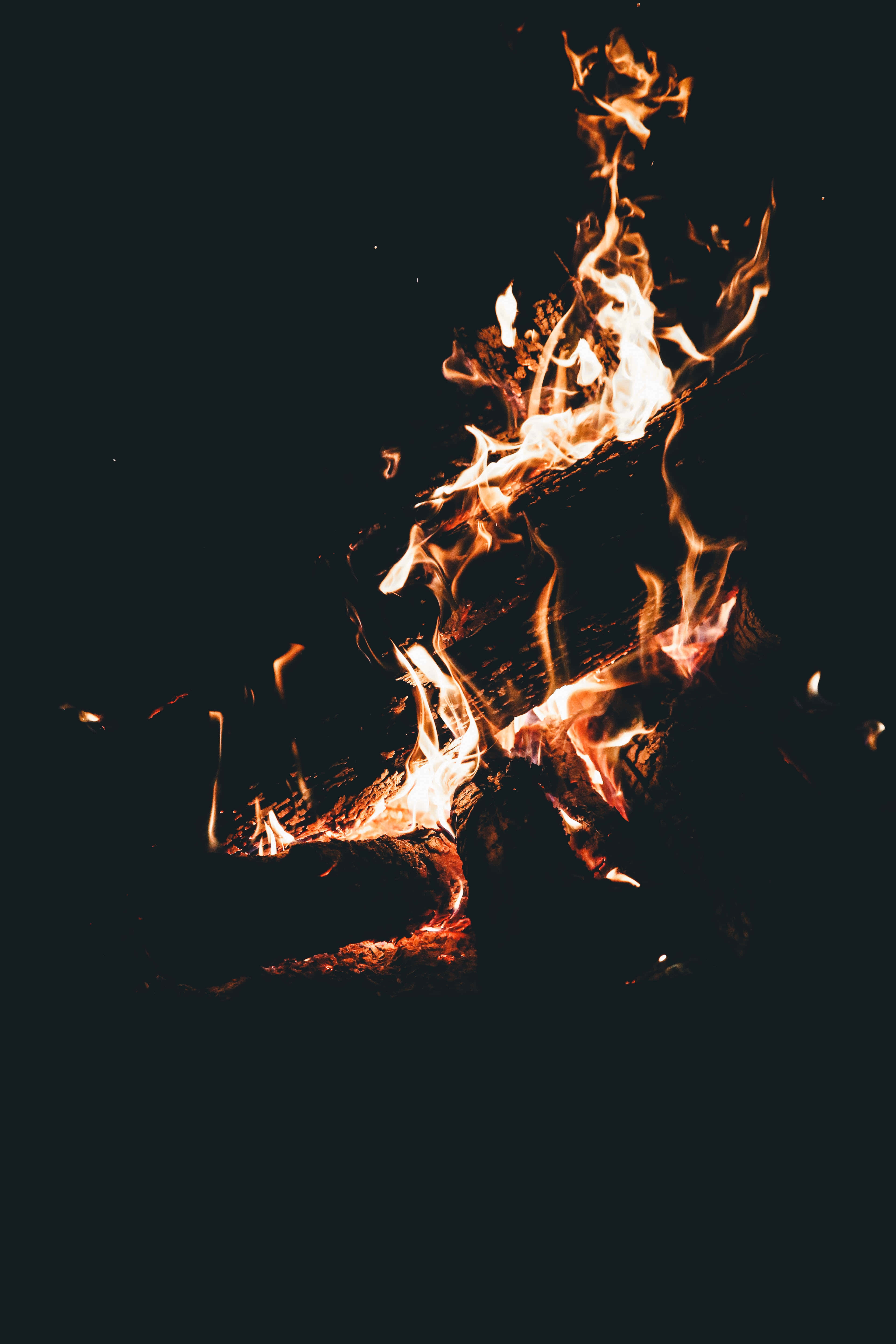 Fall Bonfire 桌布 壁紙 — 鮮豔的火焰在漆黑的背景中舞動並發出劈啪聲，形成戲劇性的夜間火焰場景。
