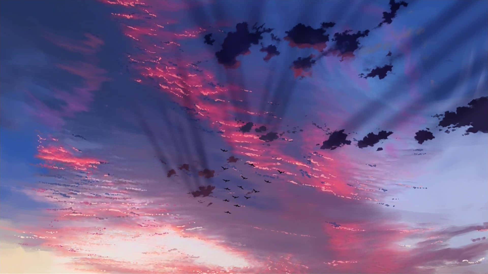 Makoto Shinkai 桌布 壁紙 — 鮮豔的粉紅色和紫色日落光線穿透烏雲，剪影鳥兒在戲劇性的天空中飛翔。