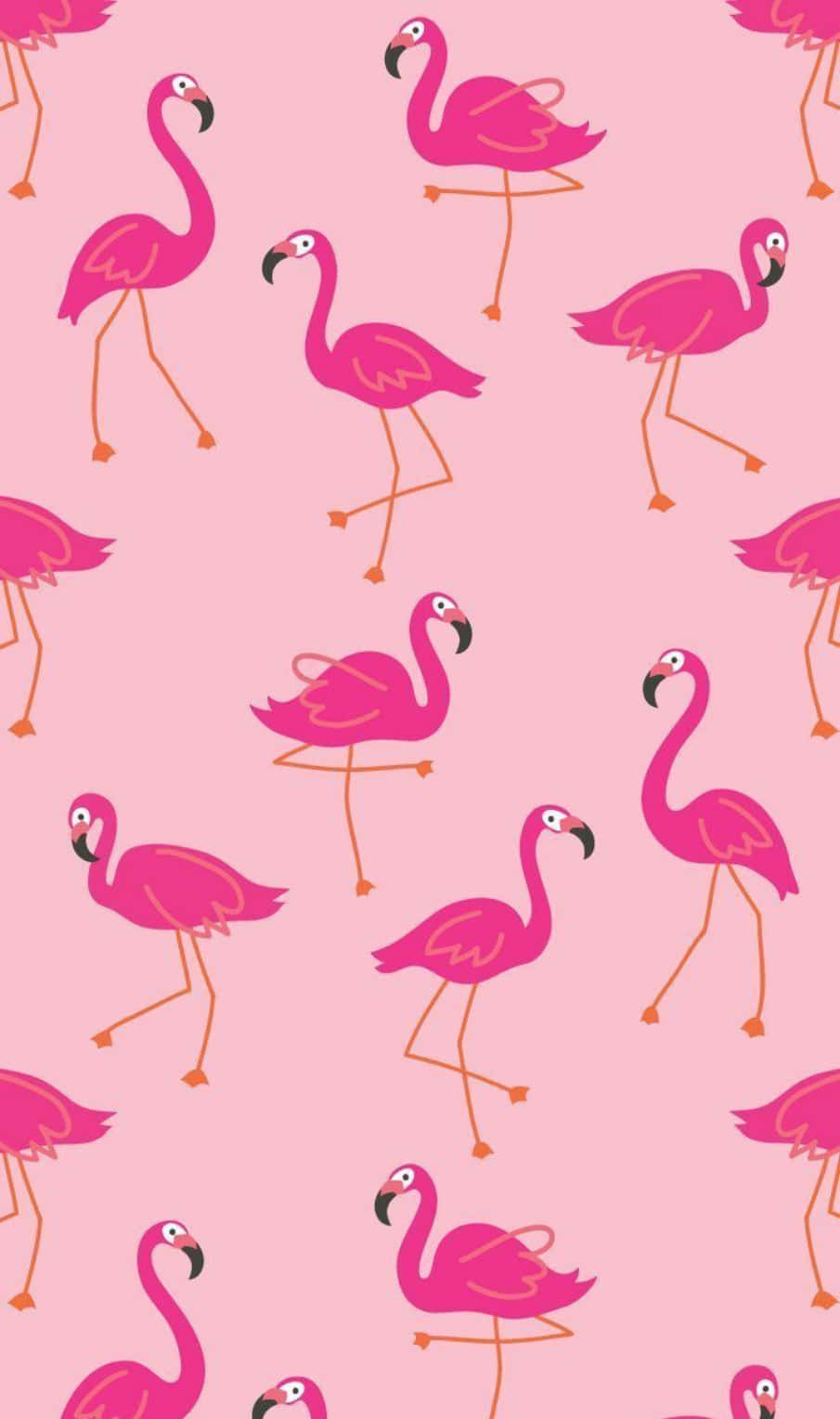 Pink Flamingos 桌布 壁紙 — 鮮豔的粉紅色火烈鳥，橙色腿，以重複圖案站在柔和的粉紅色背景上，擺出俏皮的姿勢。