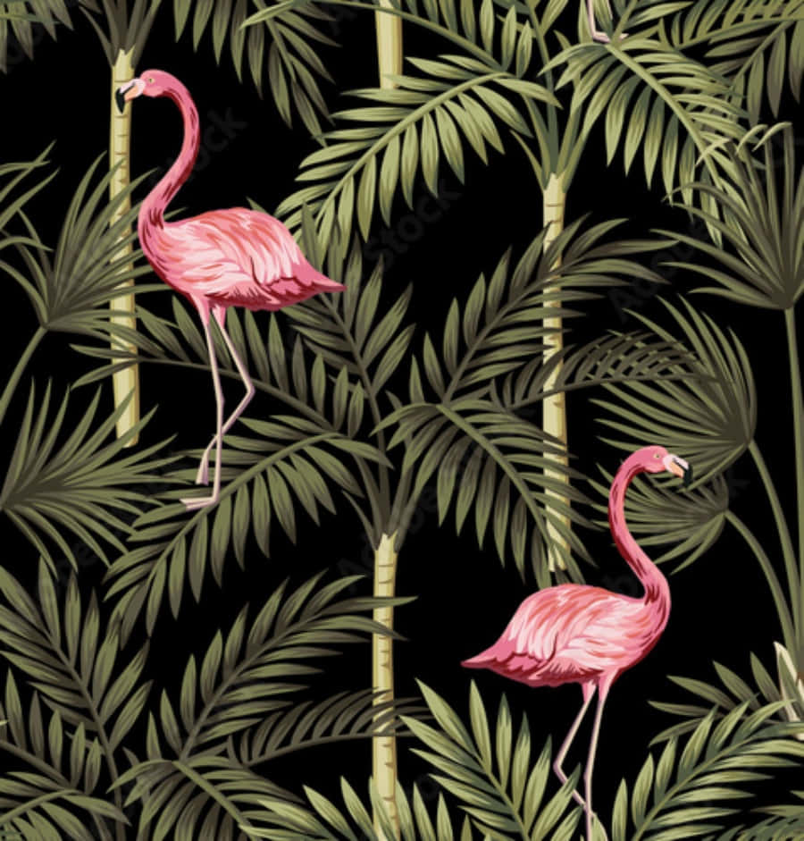 Pink Flamingos 桌布 壁紙 — 鮮豔的粉紅色火烈鳥在深黑色背景襯托下，優雅地站立在茂密的綠色棕櫚葉之間。