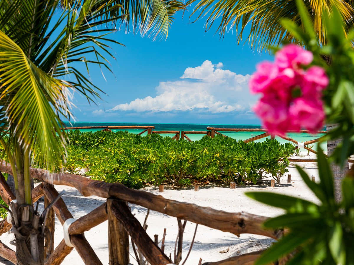 Mexican Beach 桌布 壁紙 — 鮮豔的粉紅色花朵環繞著熱帶海灘場景，有碧綠的海水和茂密的綠色植物，在明亮的藍天下。