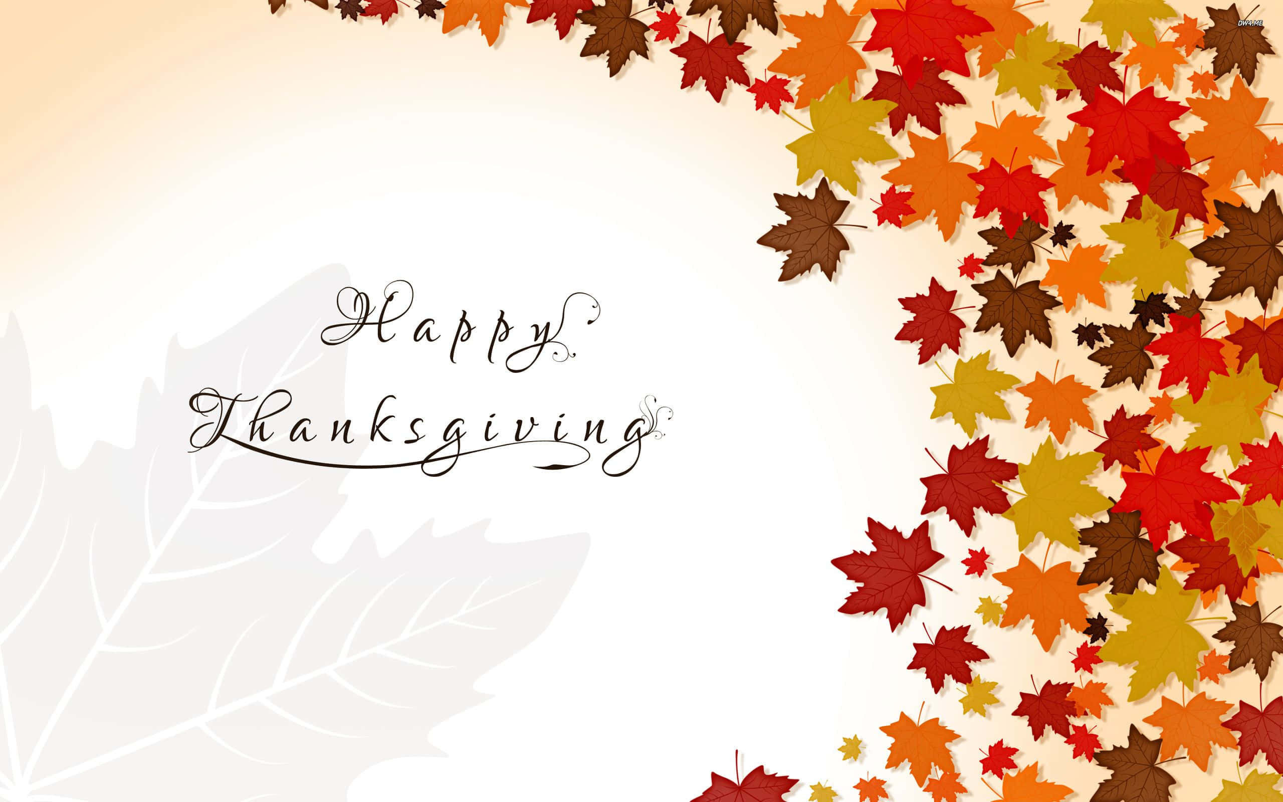 Happy Thanksgiving 桌布 壁紙 — 鮮豔的紅、橙、金色秋葉在柔和的漸變背景上環繞著 'Happy Thanksgiving' 字樣。
