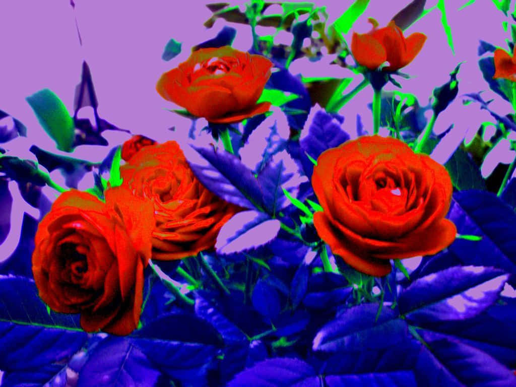 Psychedelic Flowers 桌布 壁紙 — 鮮豔的紅玫瑰在超現實的紫色和藍色背景上綻放，帶有霓虹綠色點綴。