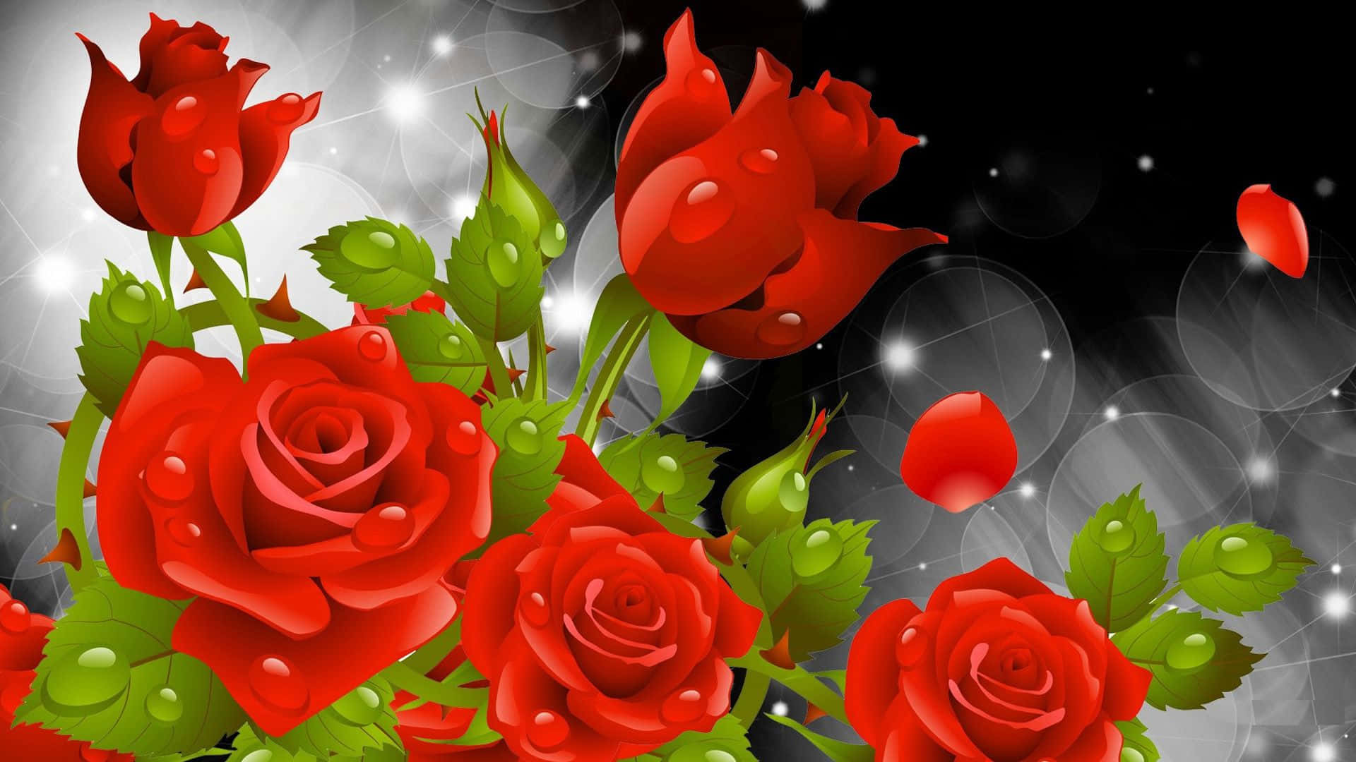Red Rose 桌布 壁紙 — 鮮豔的紅玫瑰帶着露珠，在閃爍的黑白散景背景中綻放。