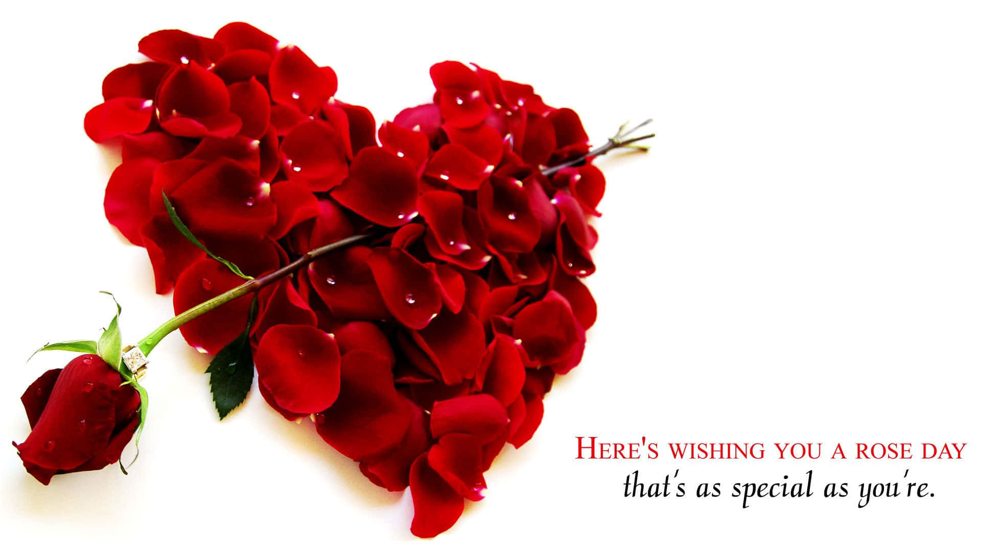 Red Rose 桌布 壁紙 — 鮮豔的紅玫瑰花瓣排列成心形，配以一朵玫瑰花蕾和文字，置於潔白背景上。