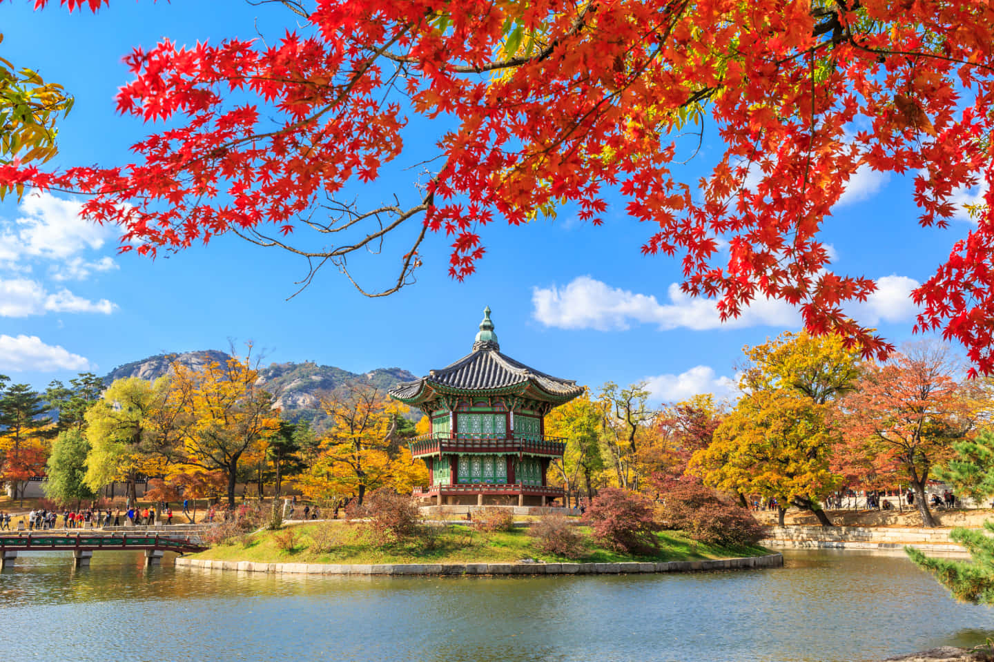 South Korea 桌布 壁紙 — 鮮豔的紅色楓葉框住了一個傳統韓國亭子，位於池塘上，周圍是秋天的樹木，天空清澈湛藍。