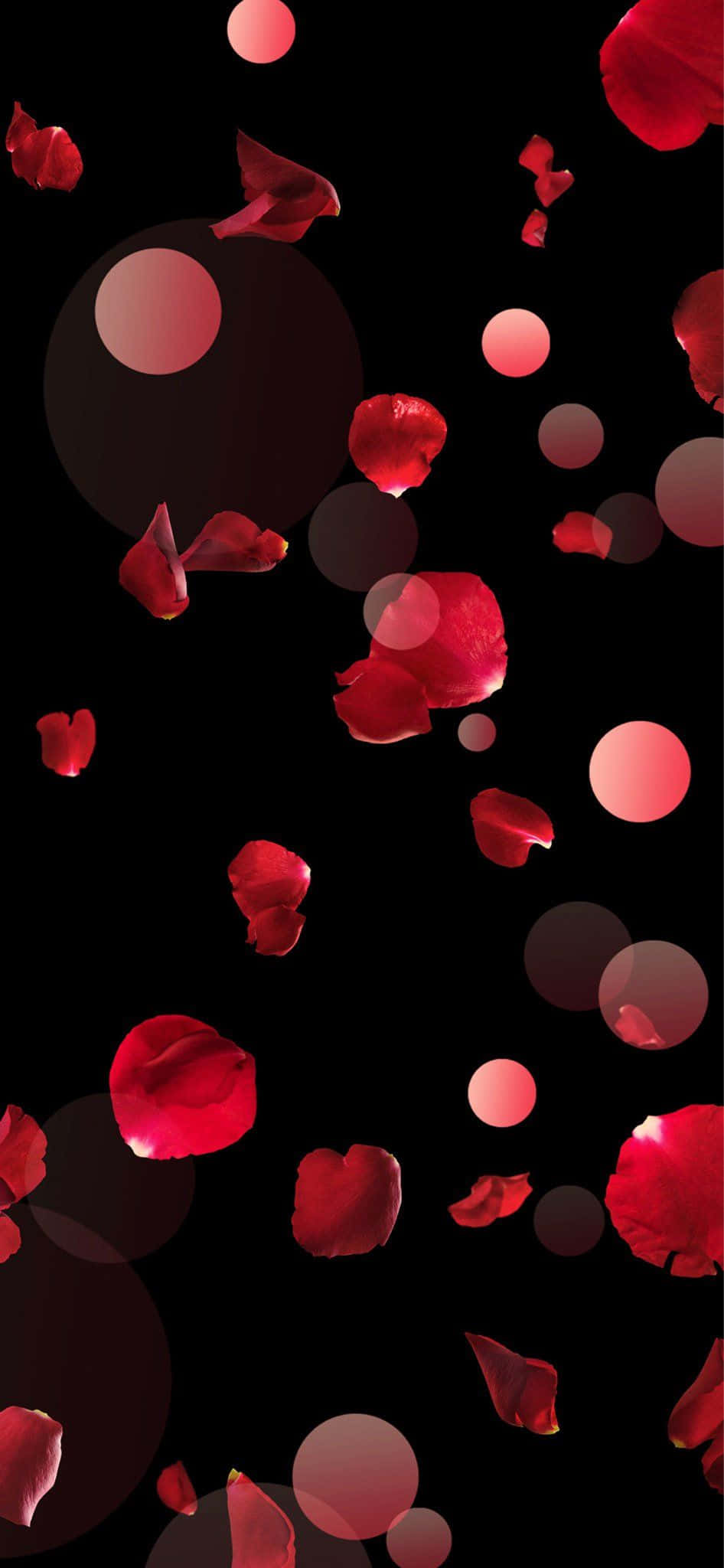 Rose Petal 桌布 壁紙 — 鮮豔的紅色玫瑰花瓣在點綴著發光粉紅色散景圓圈的黑暗虛空中飄蕩。