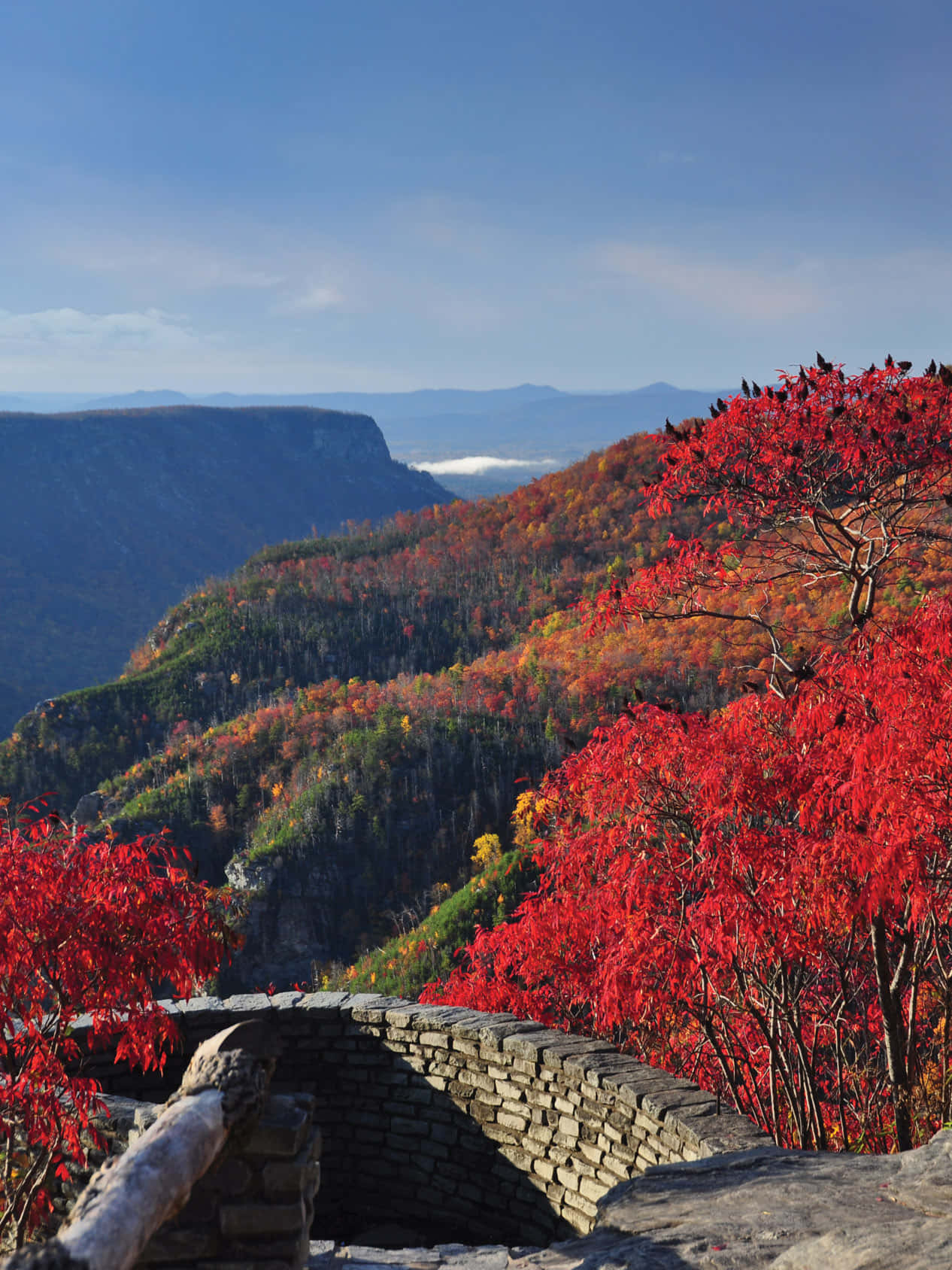 Blue Ridge Parkway 桌布 壁紙 — 鮮豔的紅色秋樹環繞著一個石頭觀景台，俯瞰著晴朗藍天下層疊的山脊。