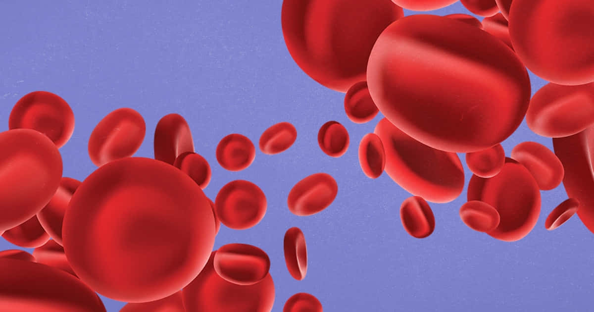 Red Blood Cells 桌布 壁紙 — 鮮豔的紅血球在柔和的紫色背景上動態漂浮，呈現詳細的3D渲染醫學插圖。
