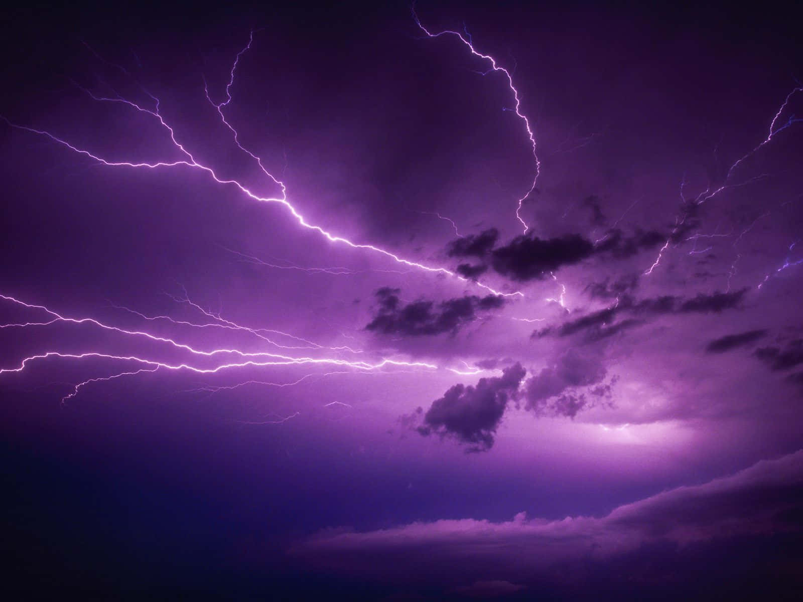 Purple Lightning 桌布 壁紙 — 鮮豔的紫色閃電劃過暴風雨的天空，照亮了戲劇性電光展示中的烏雲。