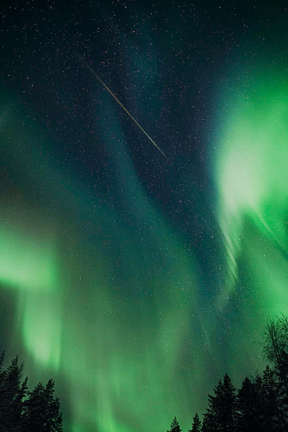 aurora borealis 桌布 壁紙 — 鮮豔的綠色北極光在黑暗松樹上方的星空夜空中舞動，一顆流星劃過天際。